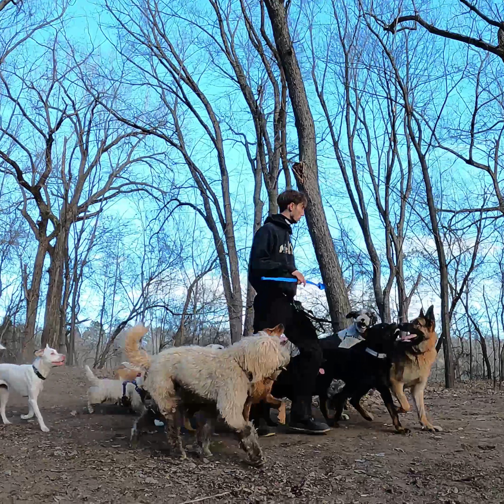 Cherry Hoggs Minneapolis