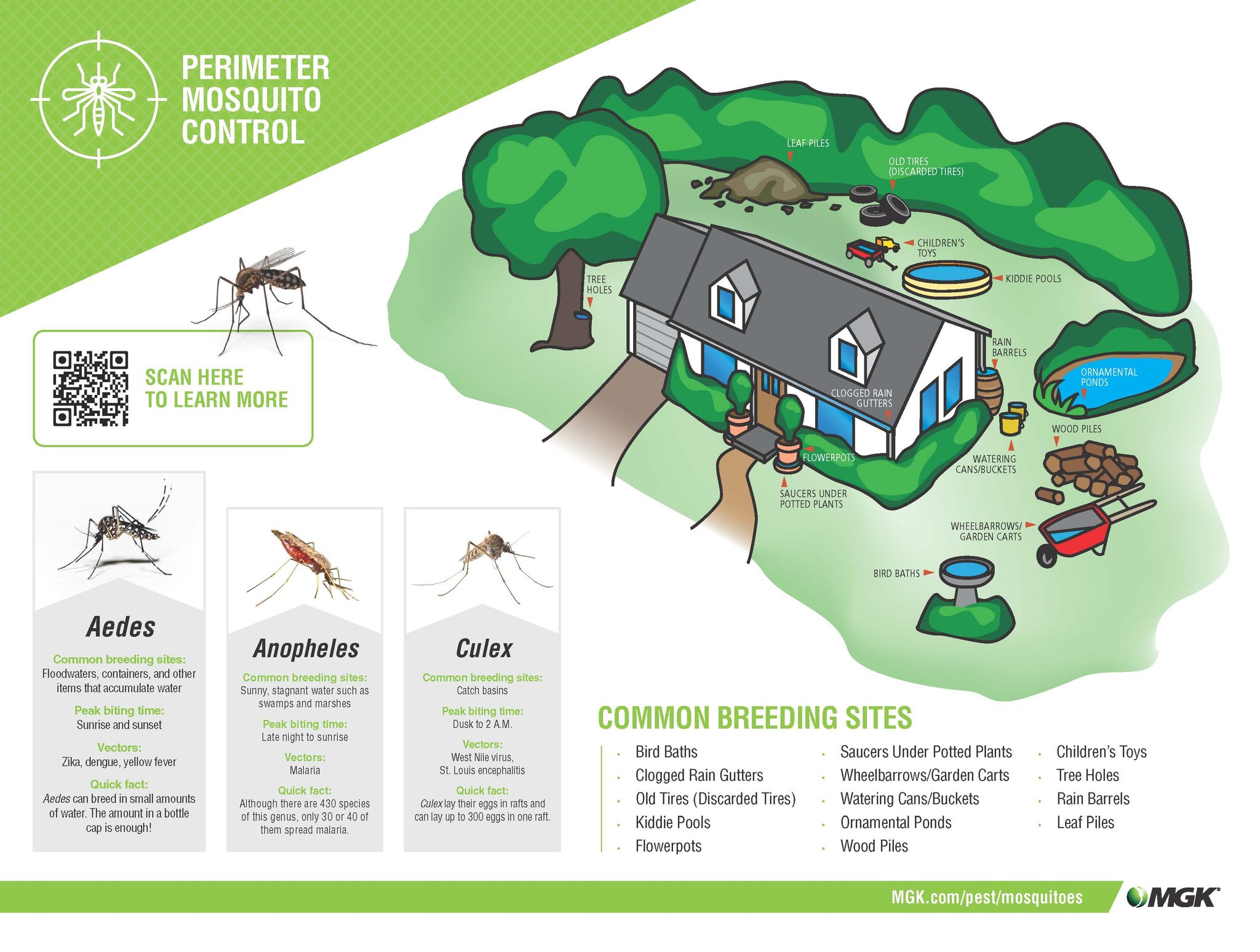 MGK Insect Control Solutions