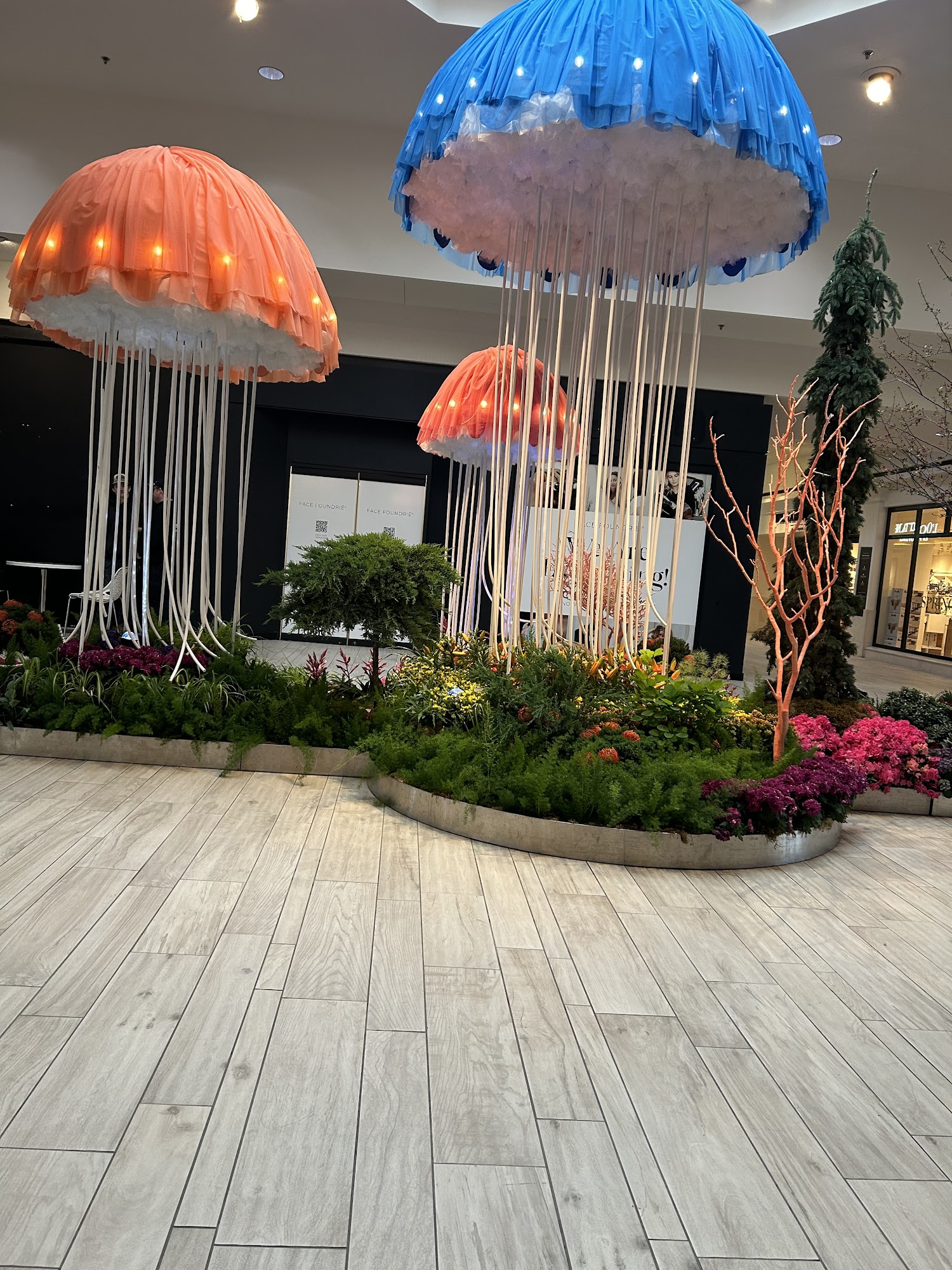 Dawns Household Services