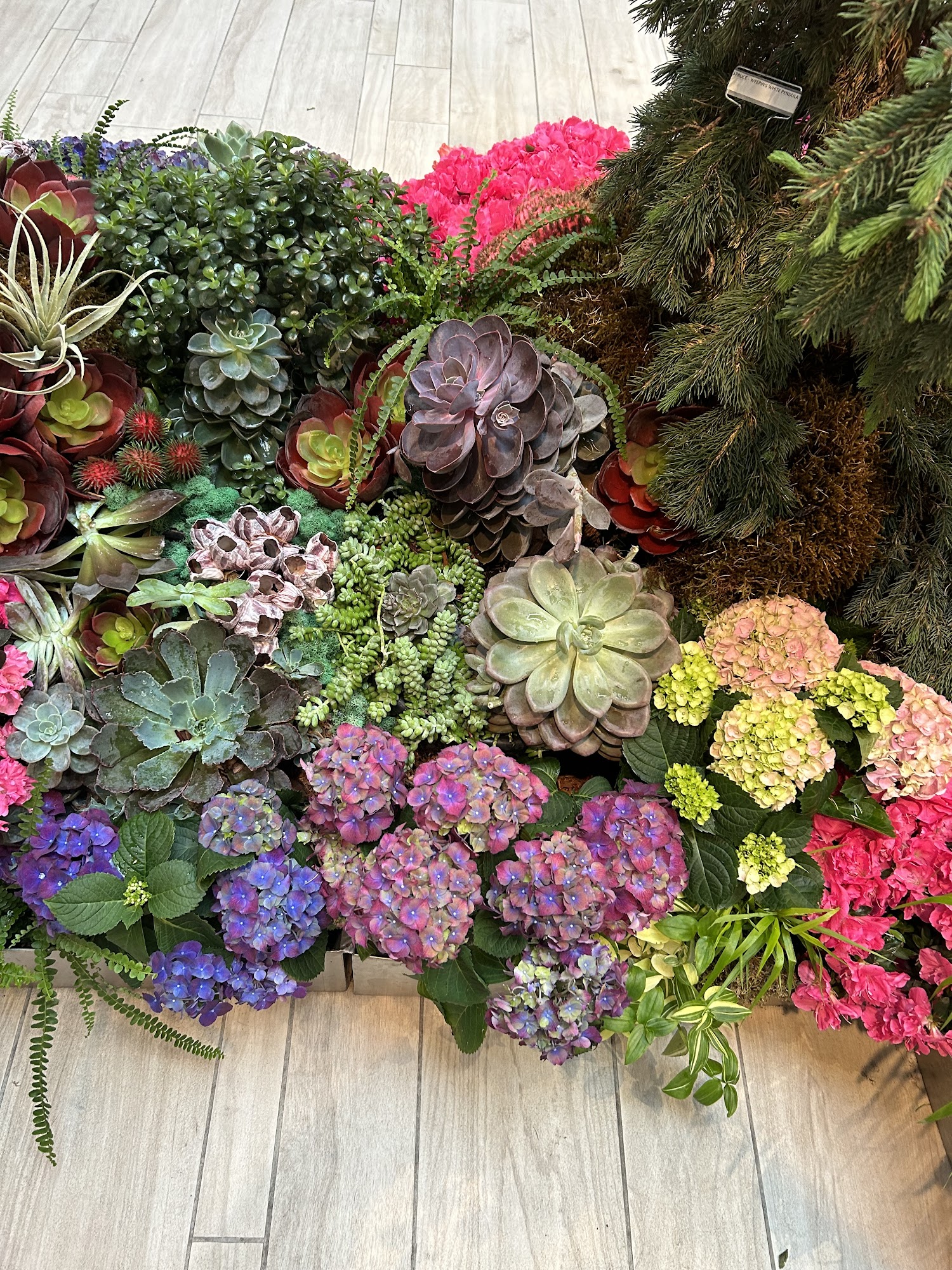 Dawns Household Services