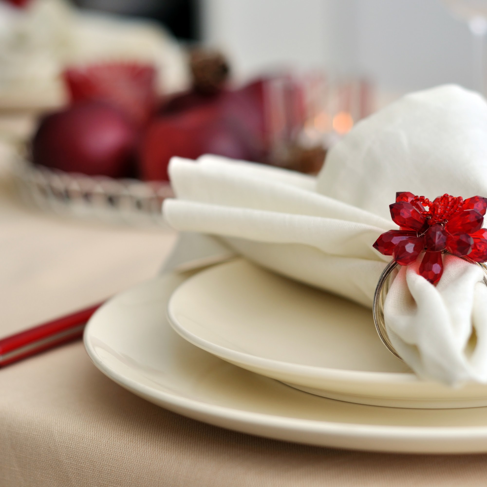 Berg Bag Company Minneapolis