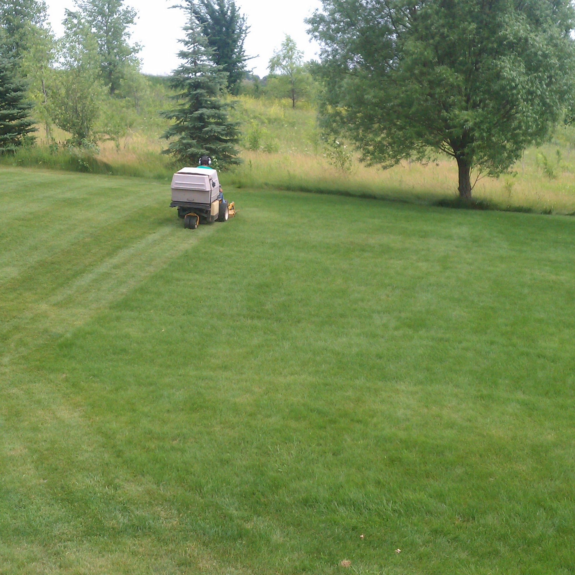 Dougherty's Lawn Care