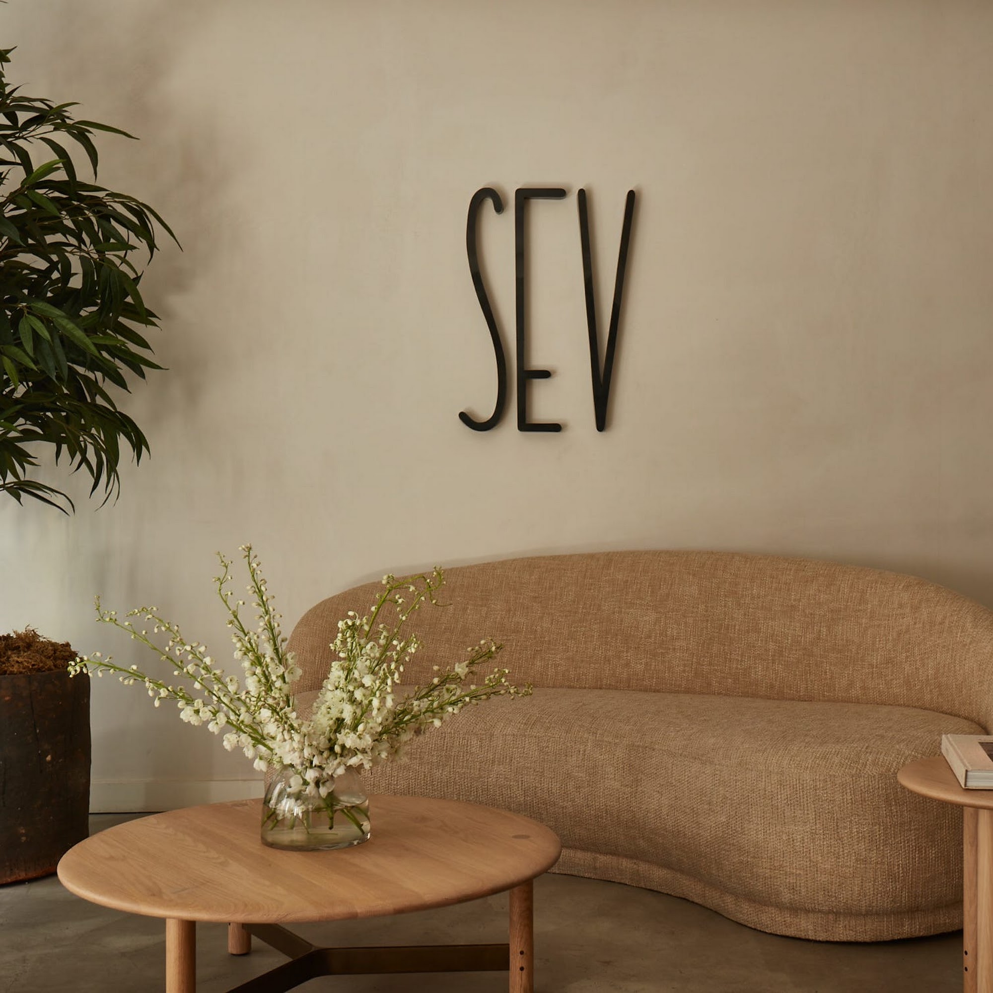 SEV Laser