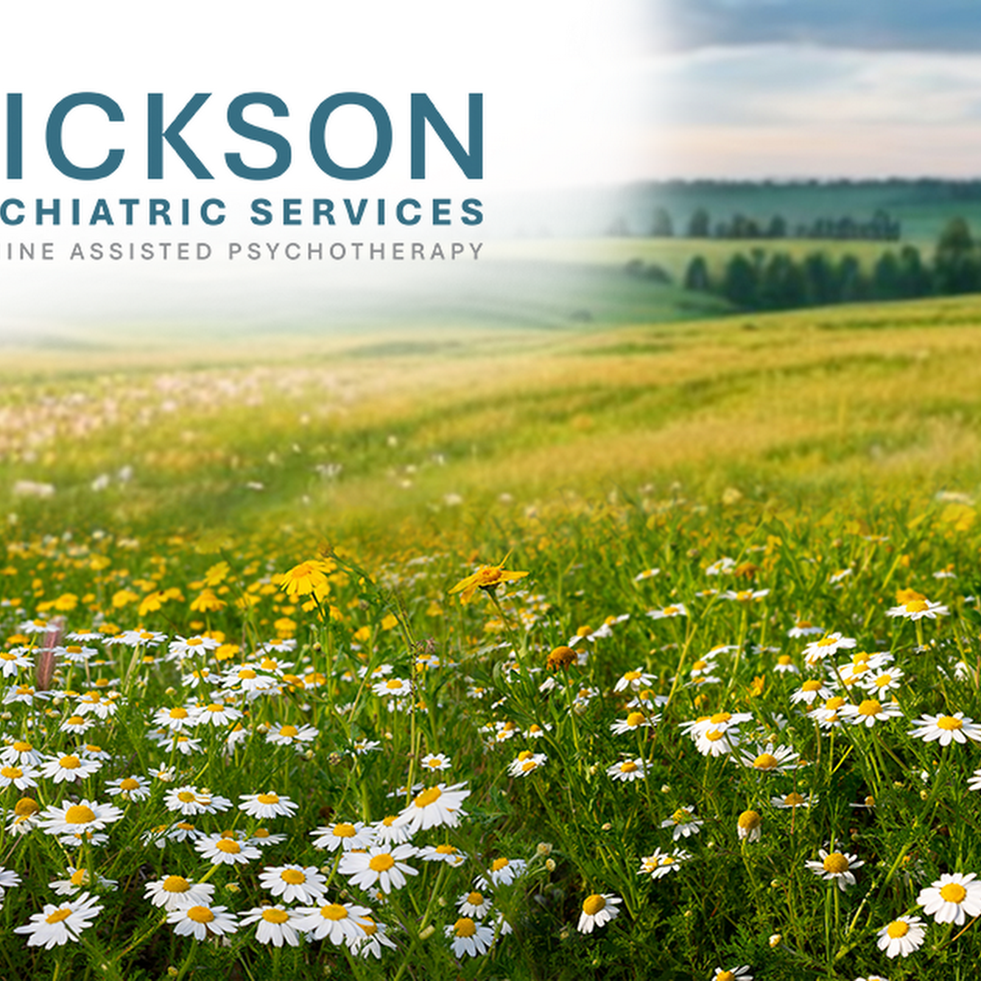 Dickson Psychiatric Services + Ketamine Assisted Psychotherapy 1409 Willow St #201, Minneapolis Minnesota 55403