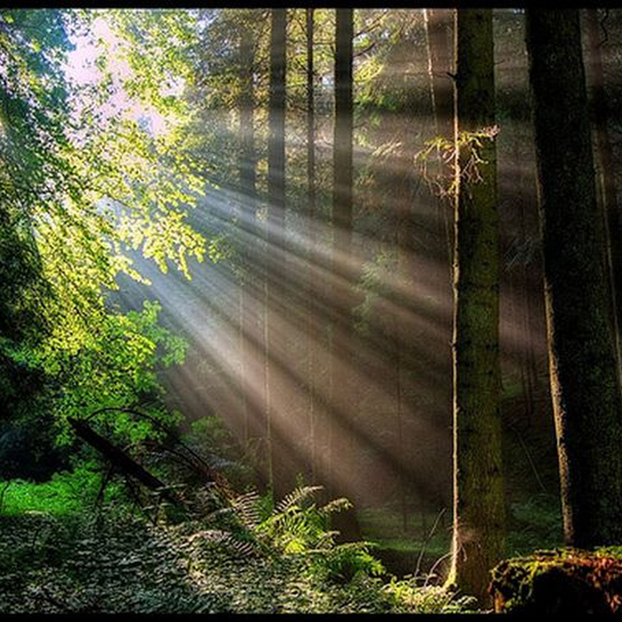 NewPath Mental Health Services fka Christian Recovery Counseling 8401 Wayzata Blvd #340, Minneapolis Minnesota 55426