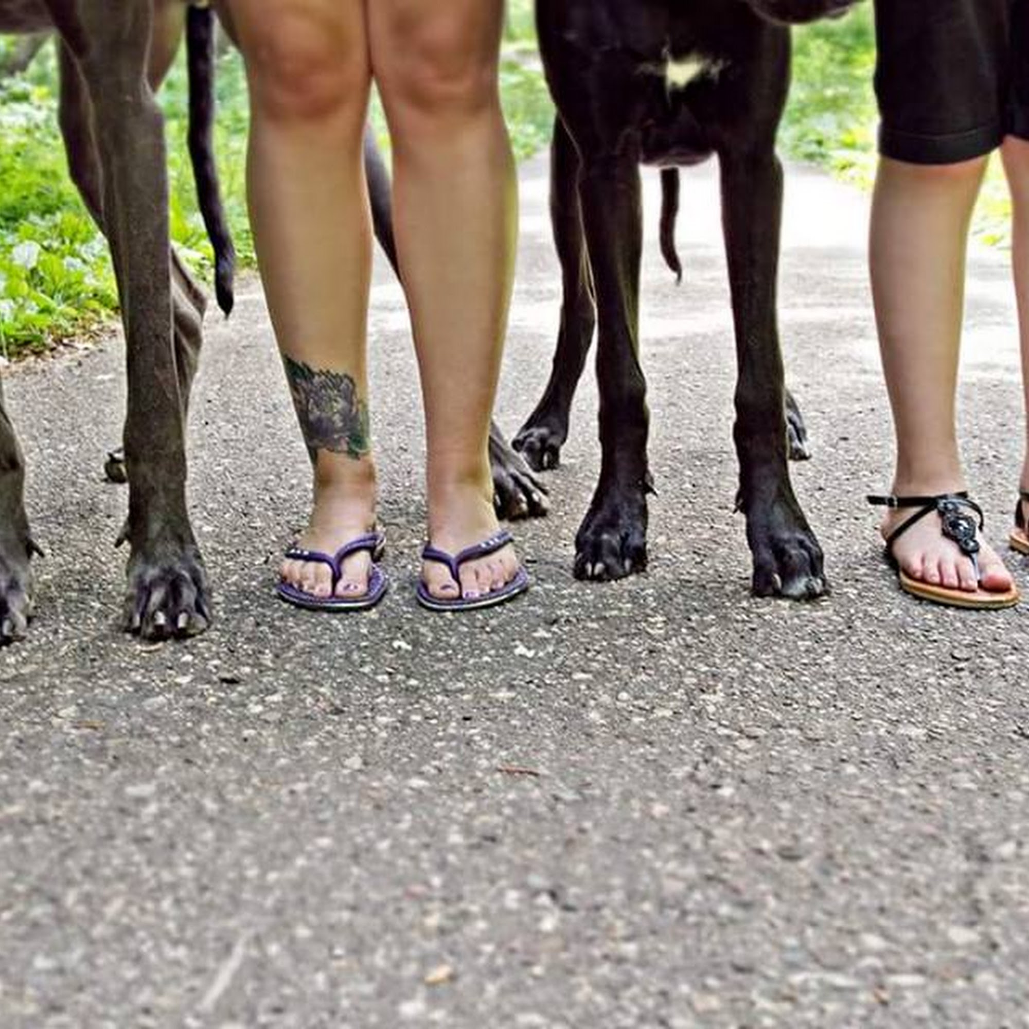 Shady Oak Veterinary Clinic Minnetonka