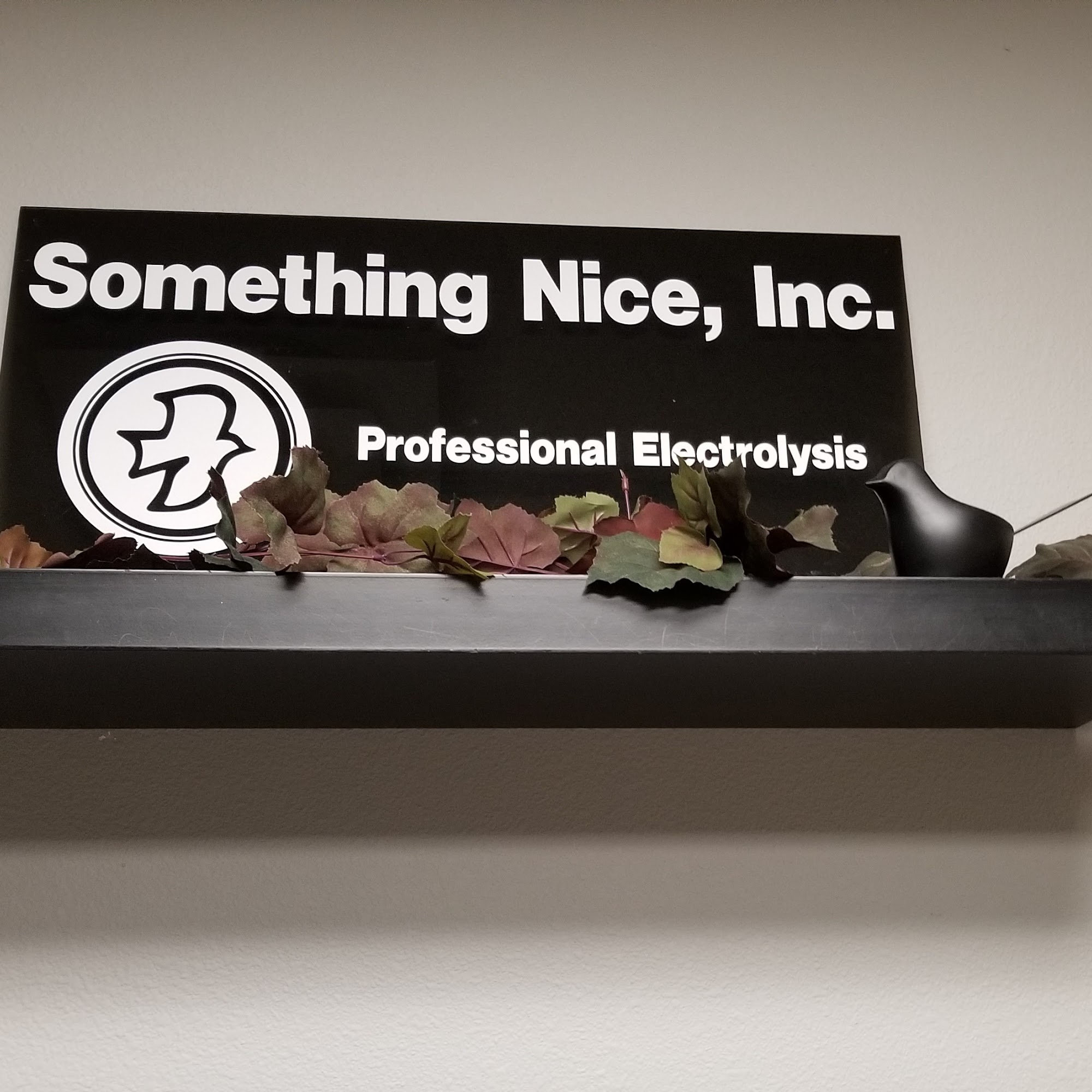 Something Nice Inc Electrolysis