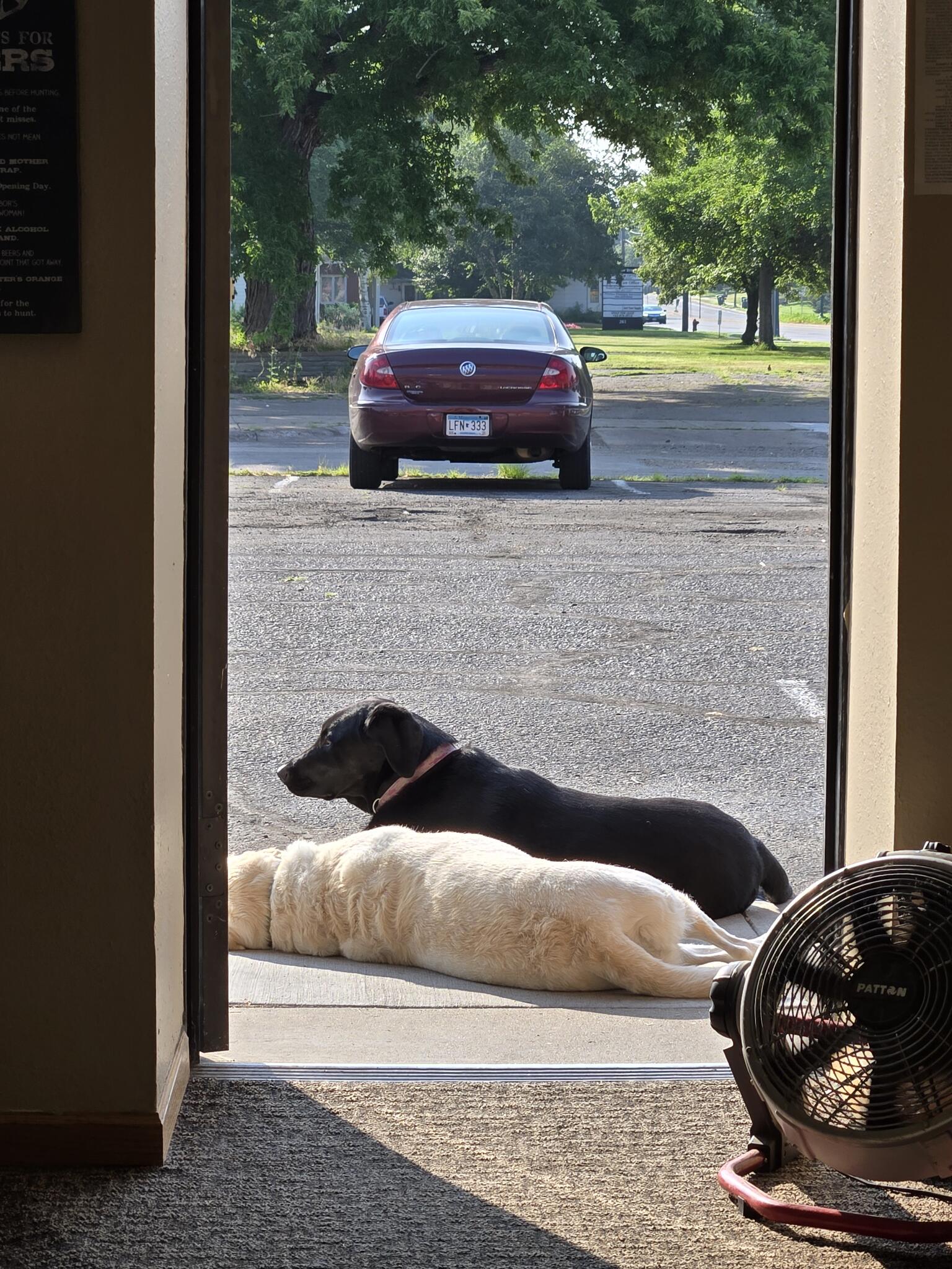 Photo credit: nextdoor