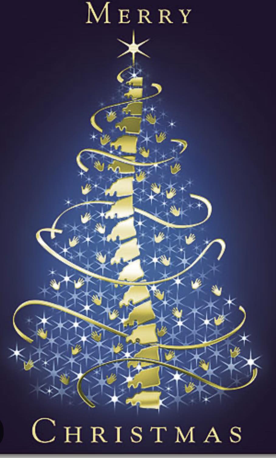 Studer Chiropractic, P.C.