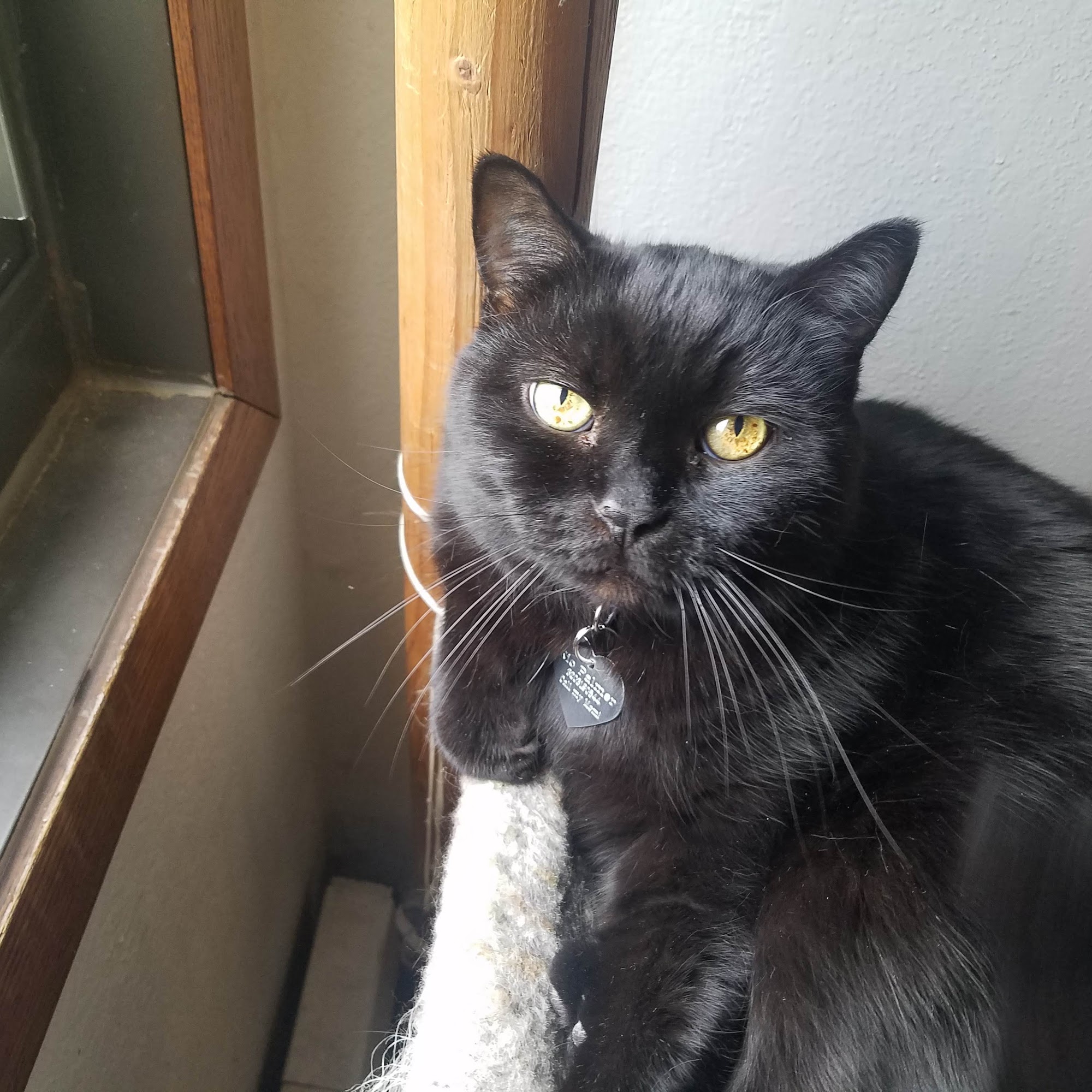 East Central Veterinarians Mora