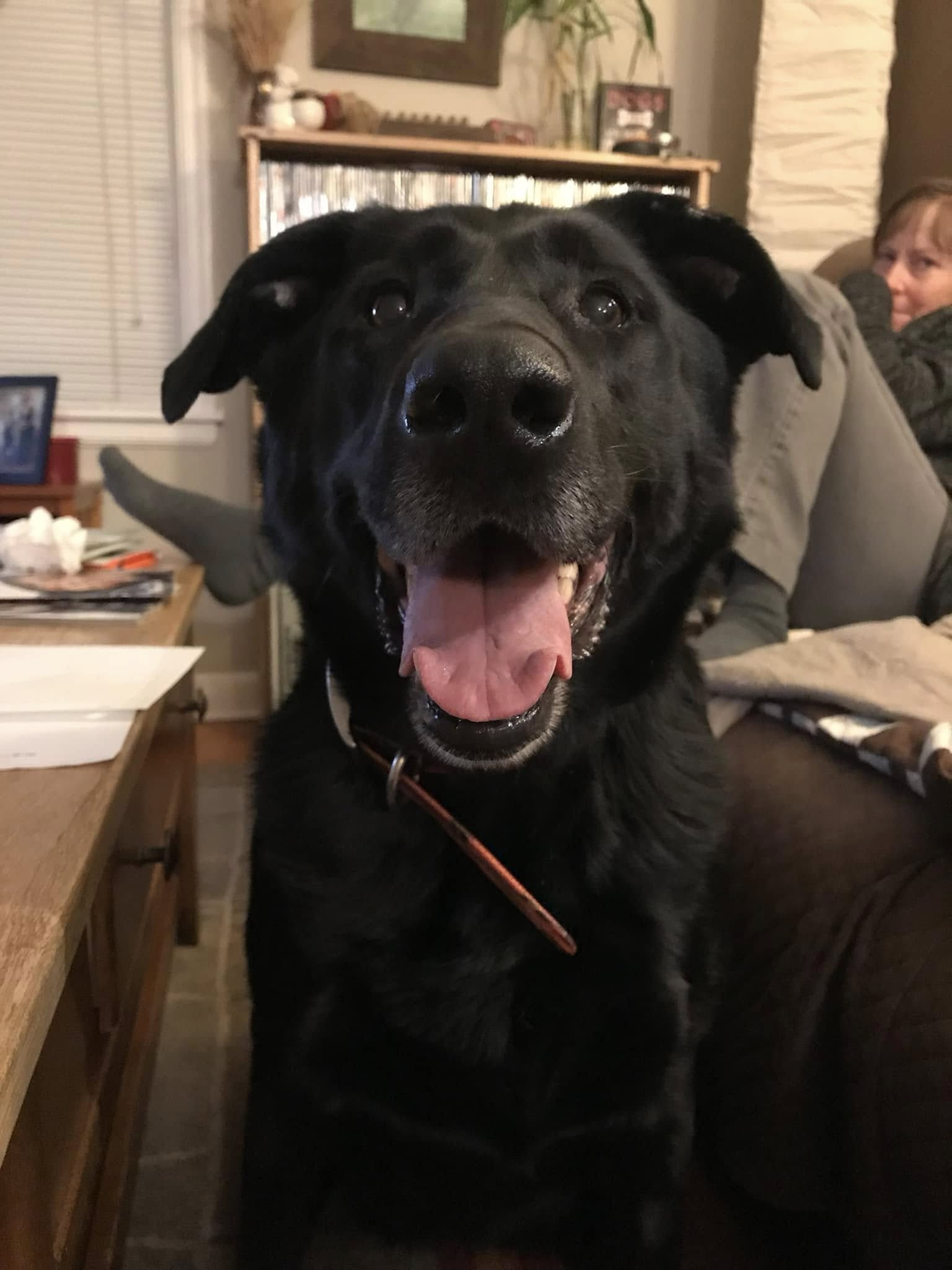 Kanga’s Clips Morris