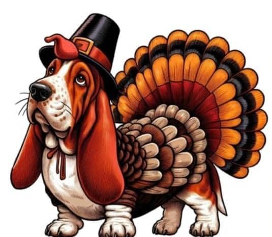 Kanga’s Clips Morris