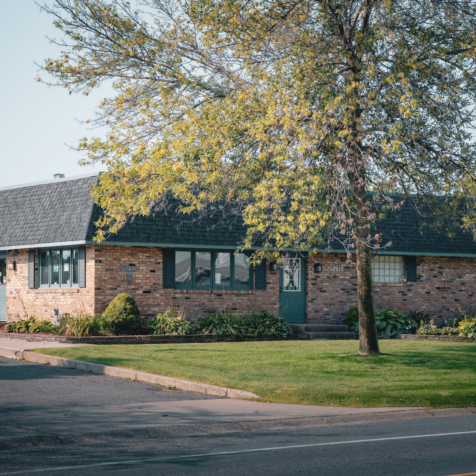 Brighton Veterinary Hospital New Brighton