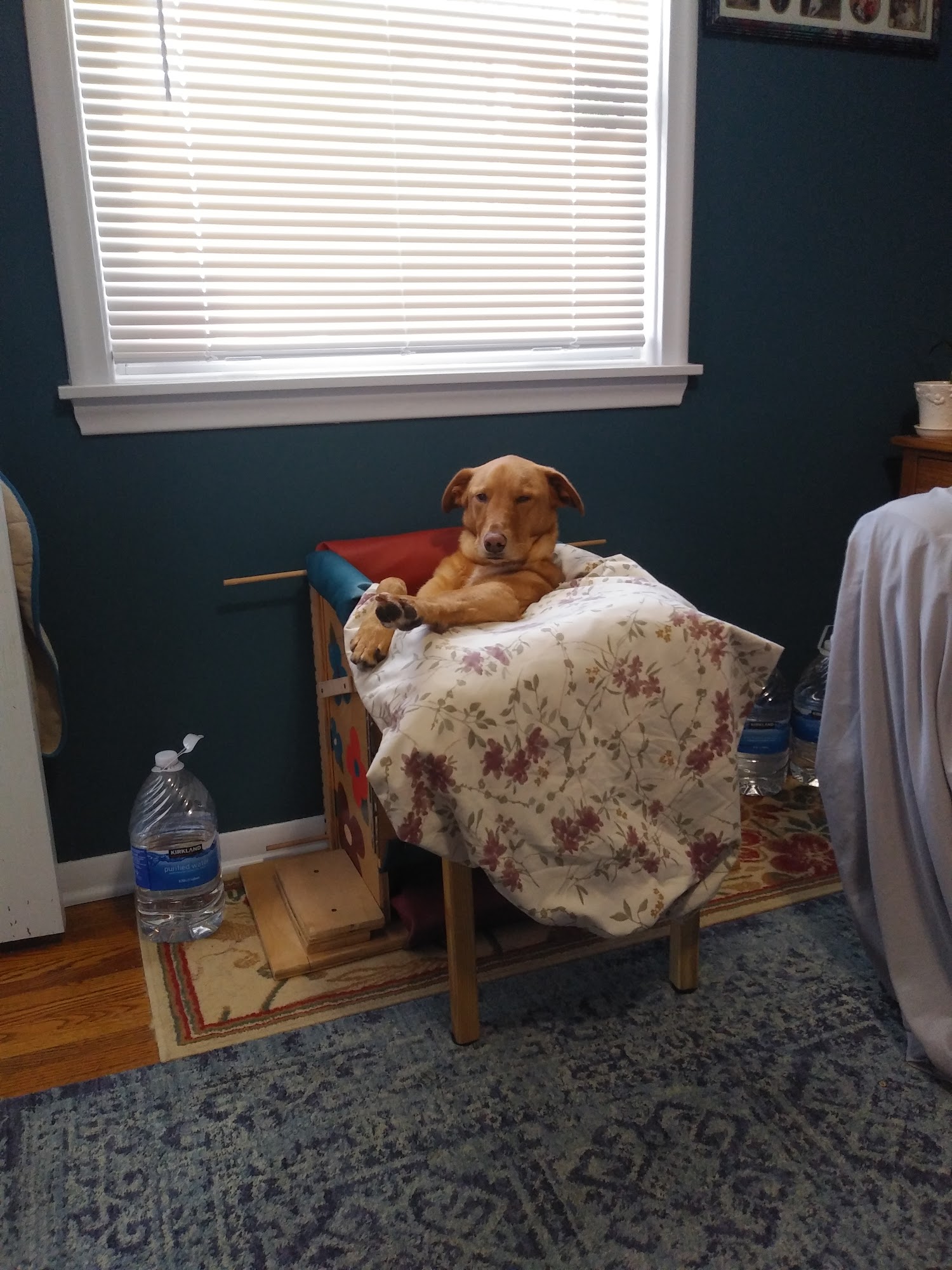 New Hope Animal Hospital - MN New Hope