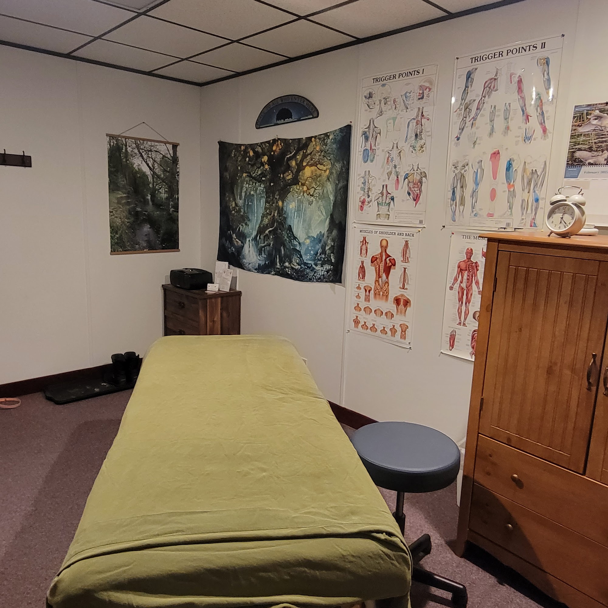 Better Health Concepts LLC. Therapeutic Massage 4124 Quebec Ave N #200, New Hope Minnesota 55427