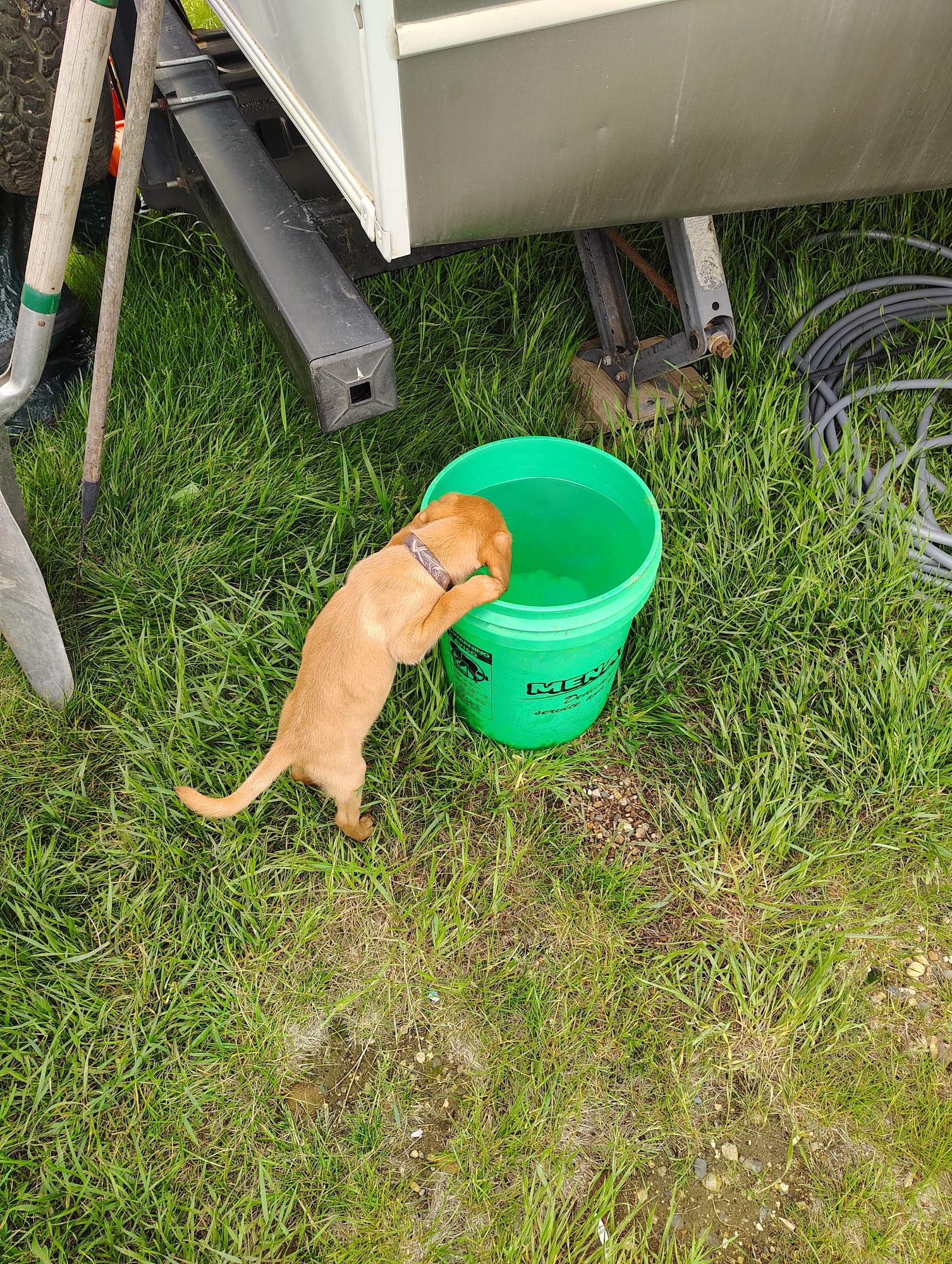 Diamond J British Labs, LLC New London