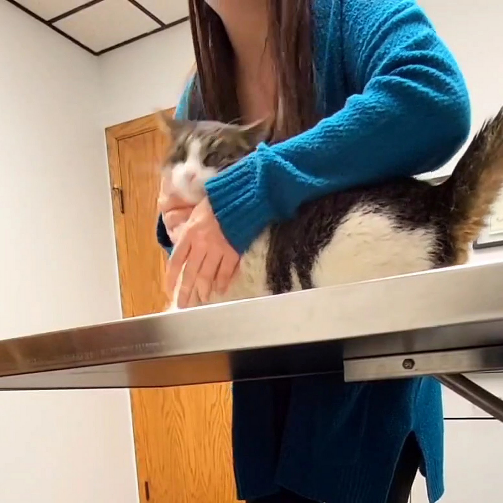 New Prague Veterinary Clinic New Prague