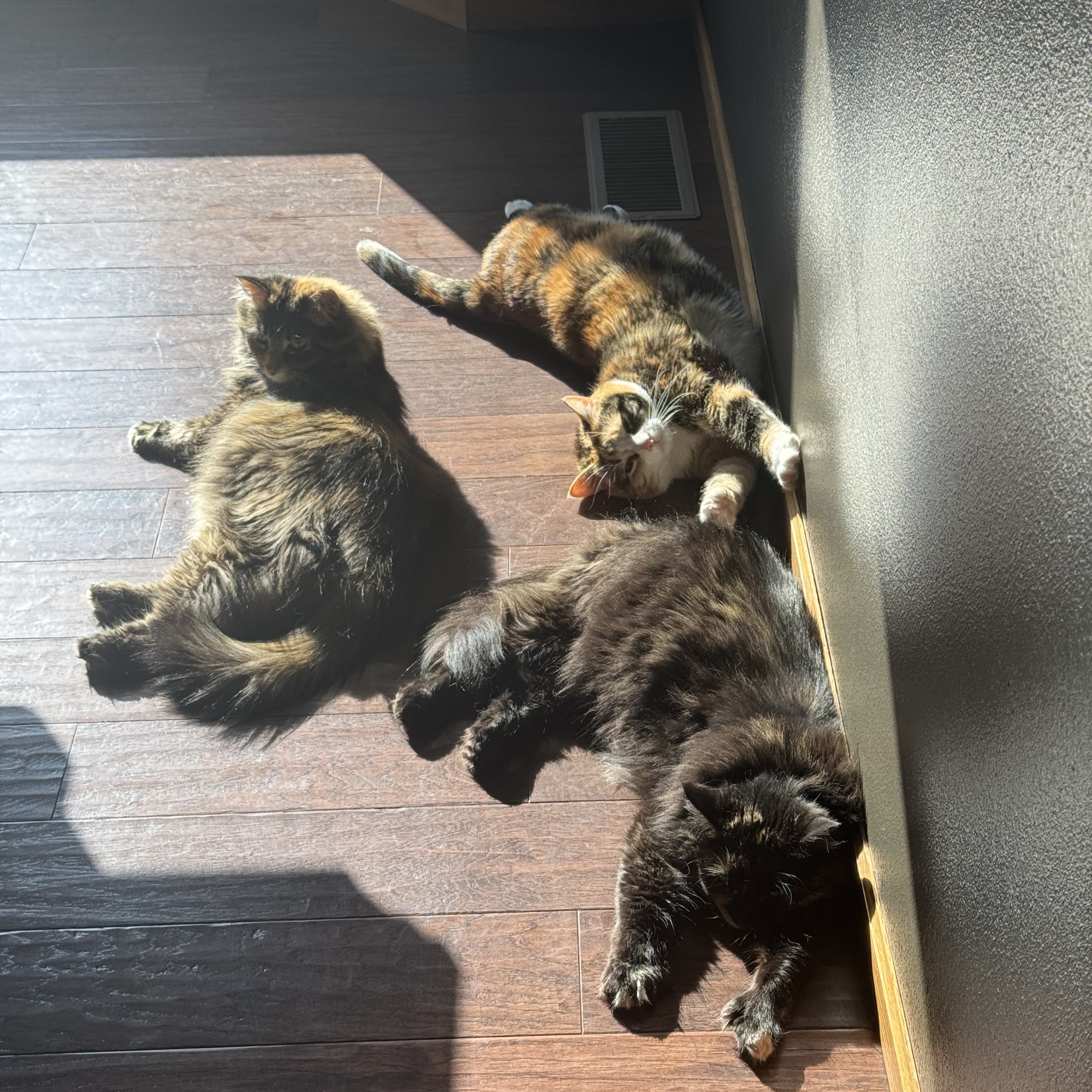 New Ulm Regional Veterinary Center New Ulm