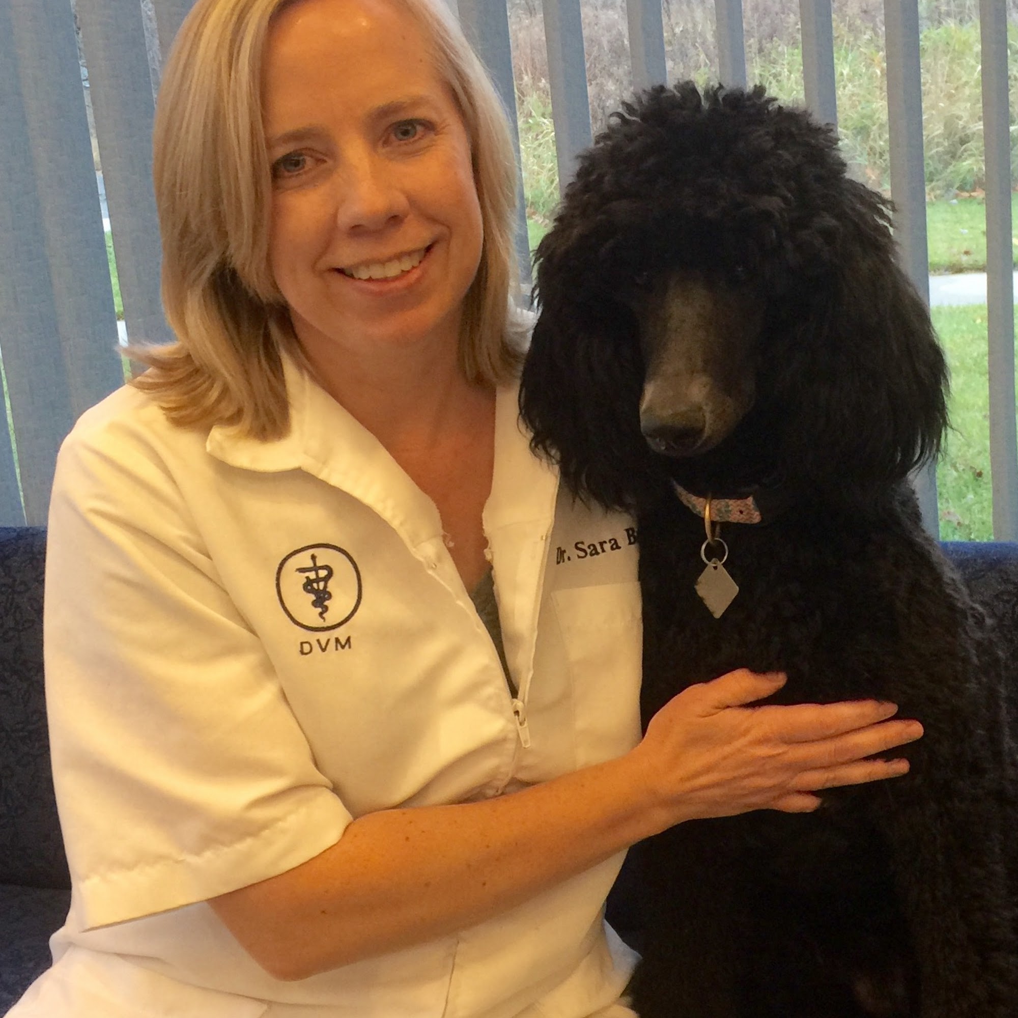 North St. Paul Animal Hospital North St. Paul