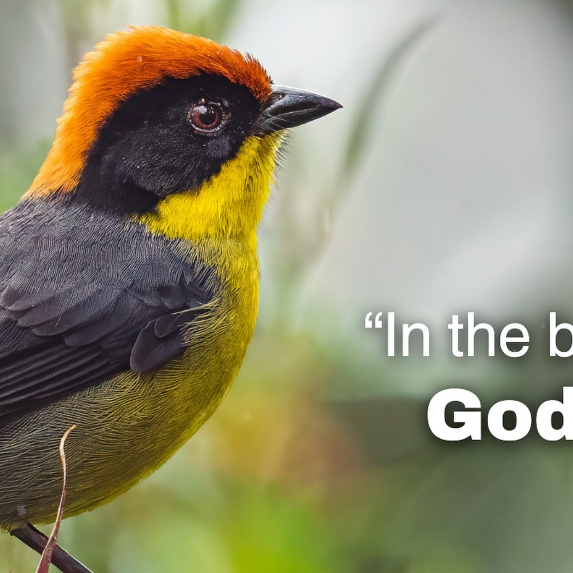 Creation Moments Inc Oak Park