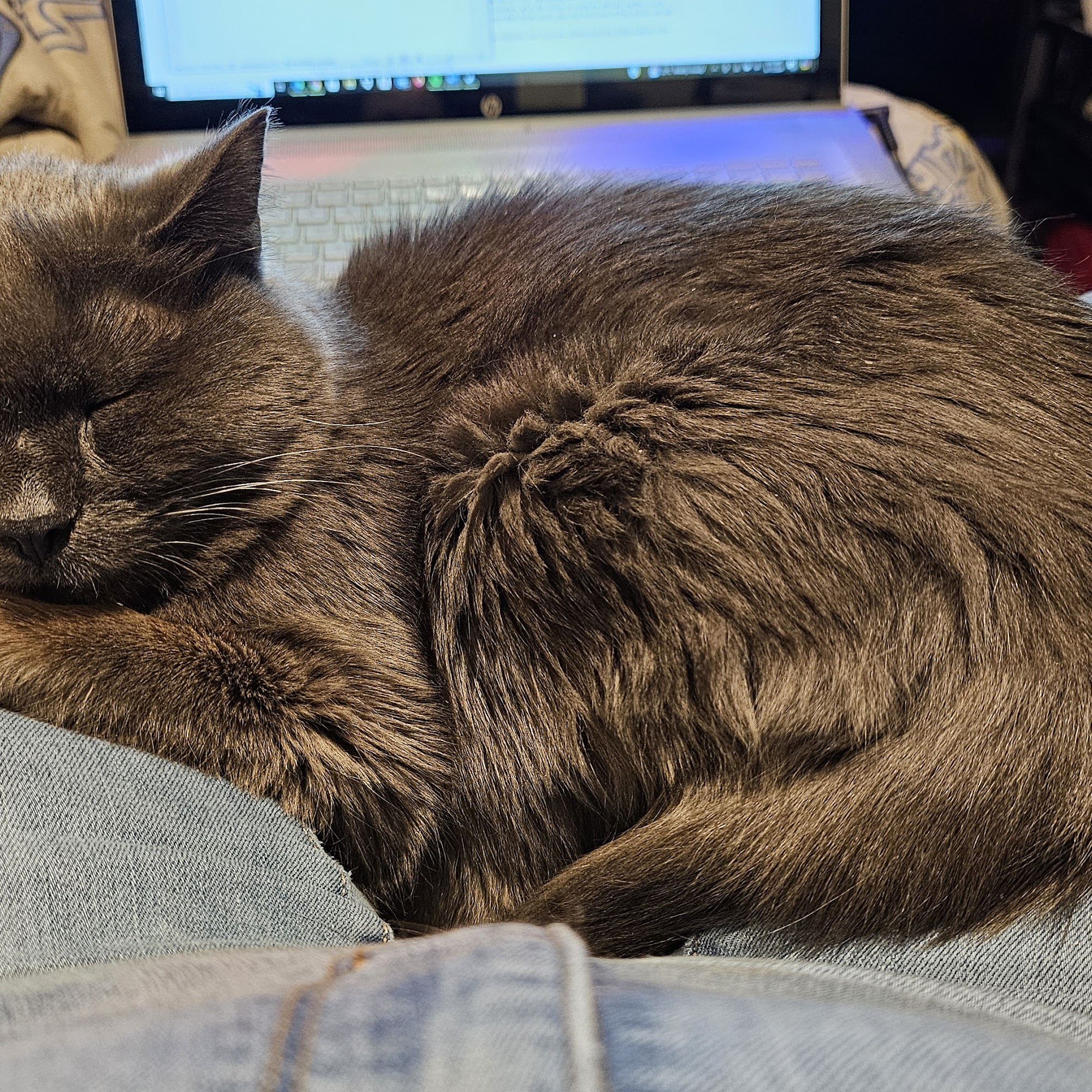 TLC Veterinary Hospital Oakdale