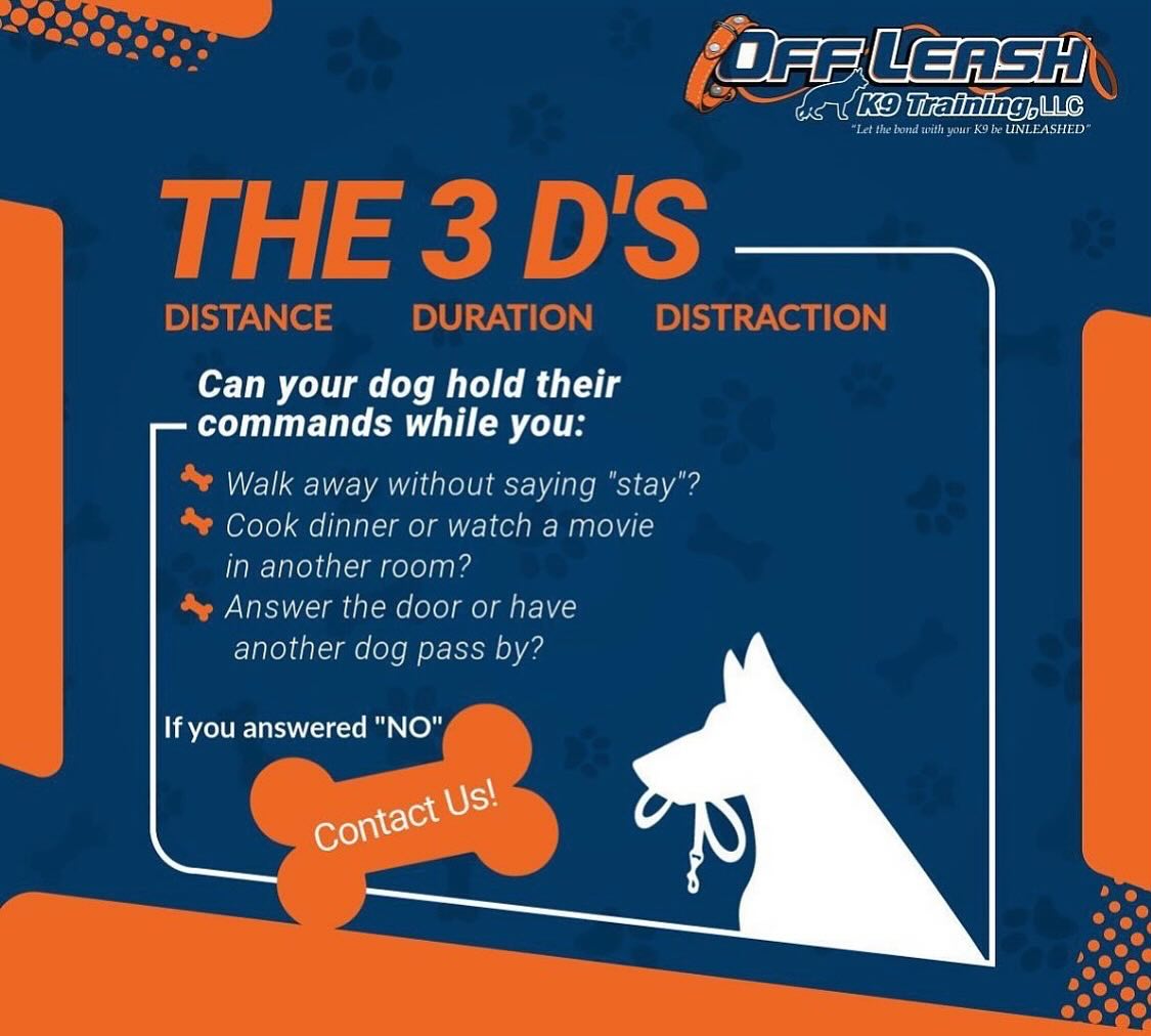 Off Leash K9 Training Twin Cities Osakis