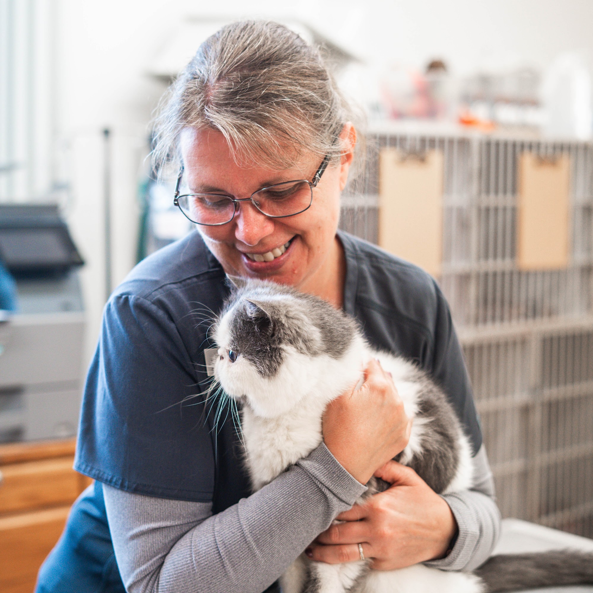 Vet Partners on Main Osseo