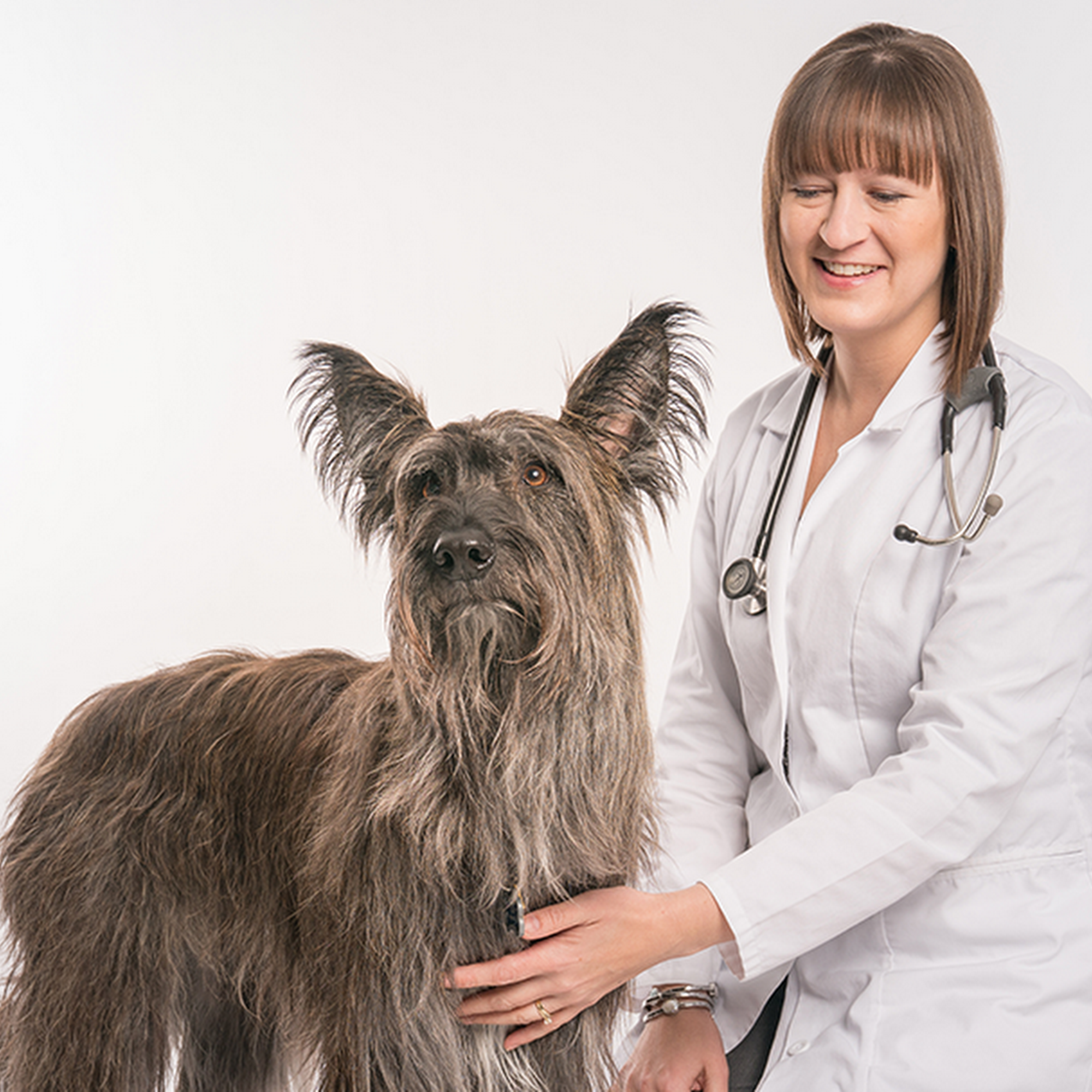 Haarstad Veterinary Dermatology Osseo