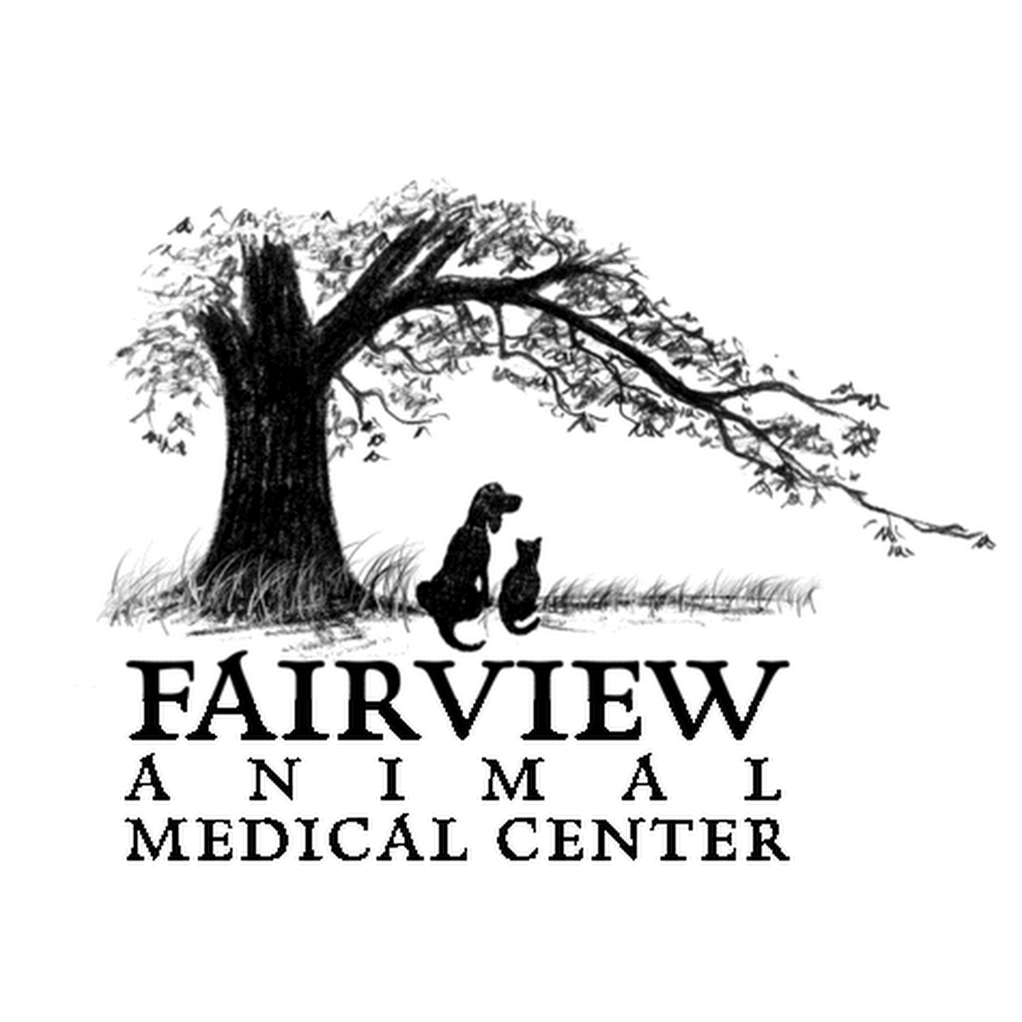 Fairview Animal Medical Center Owatonna