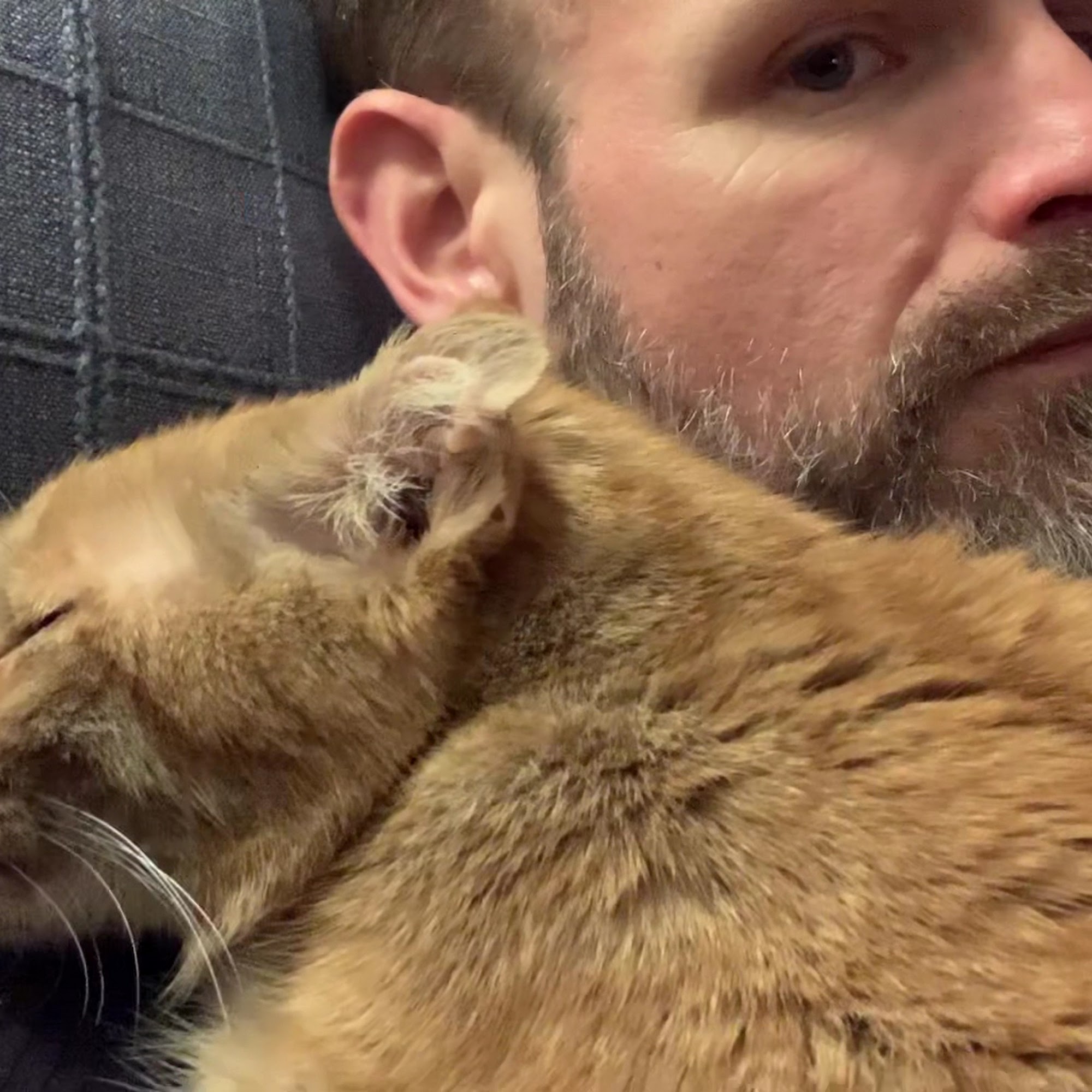 Pequot Lakes Animal Hospital Pequot Lakes