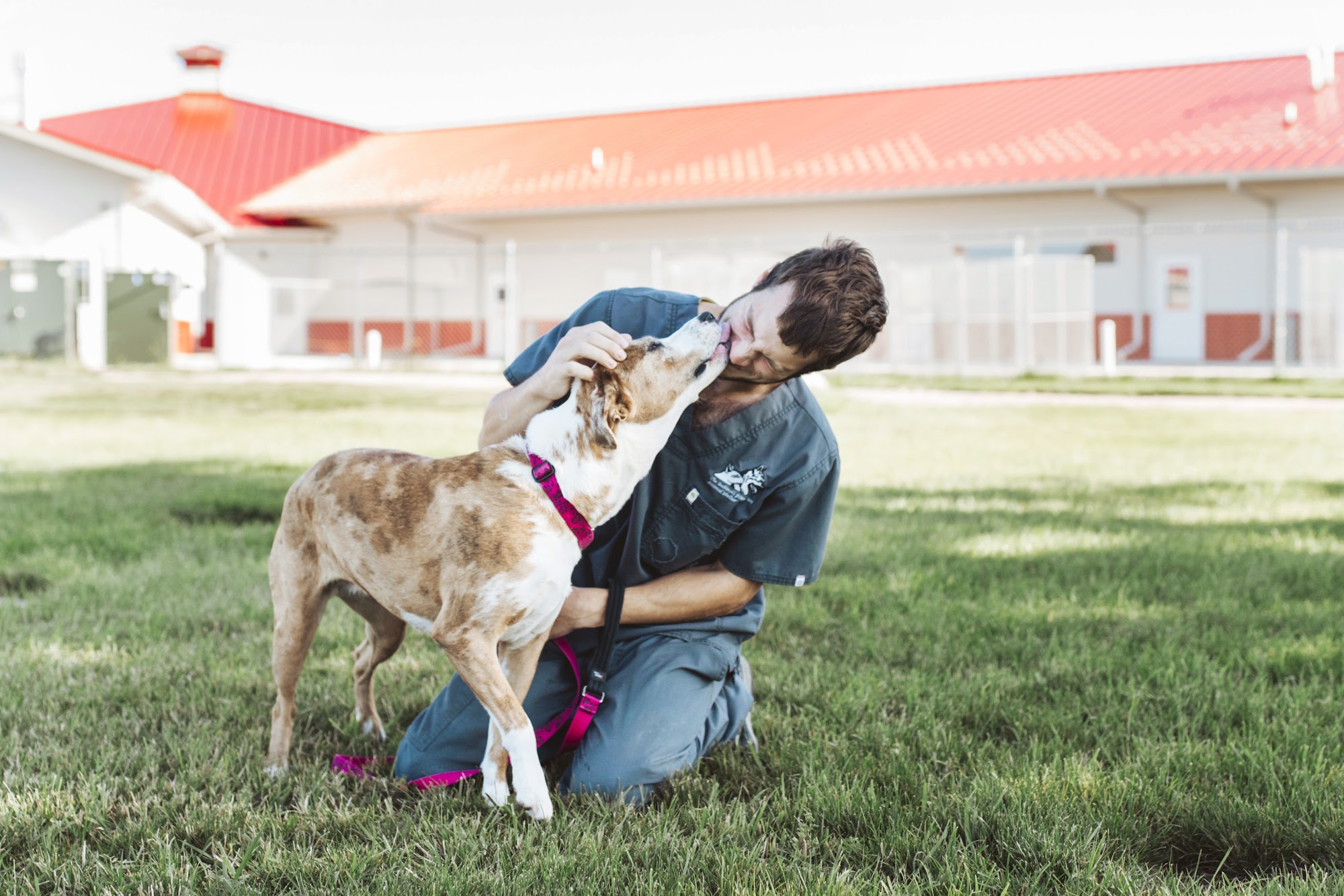 The Babinski Foundation Pequot Lakes