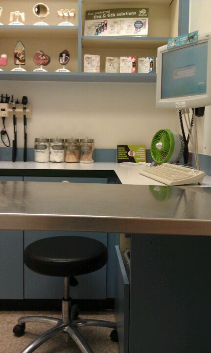 Banfield Pet Hospital Plymouth