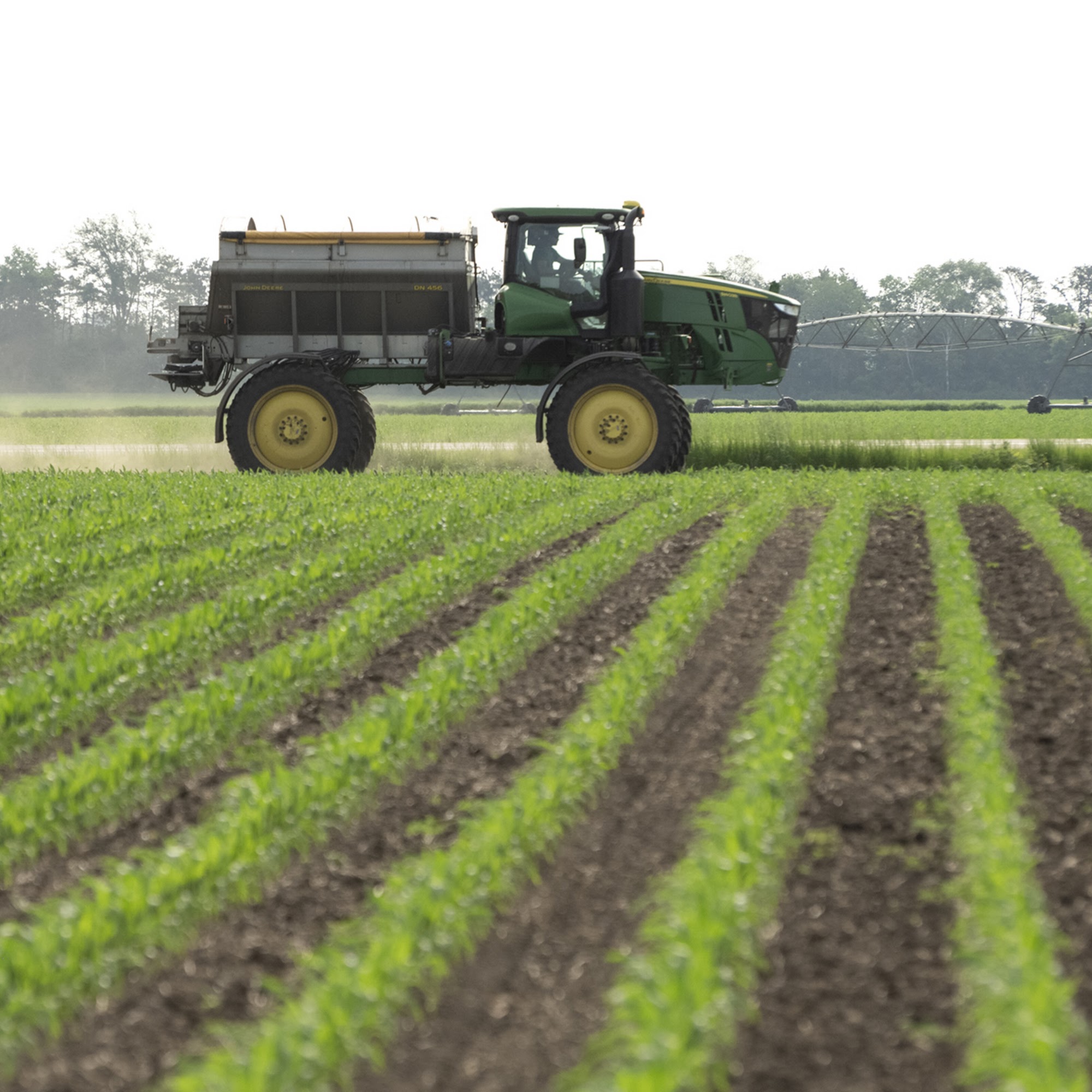 River Country Cooperative Randolph