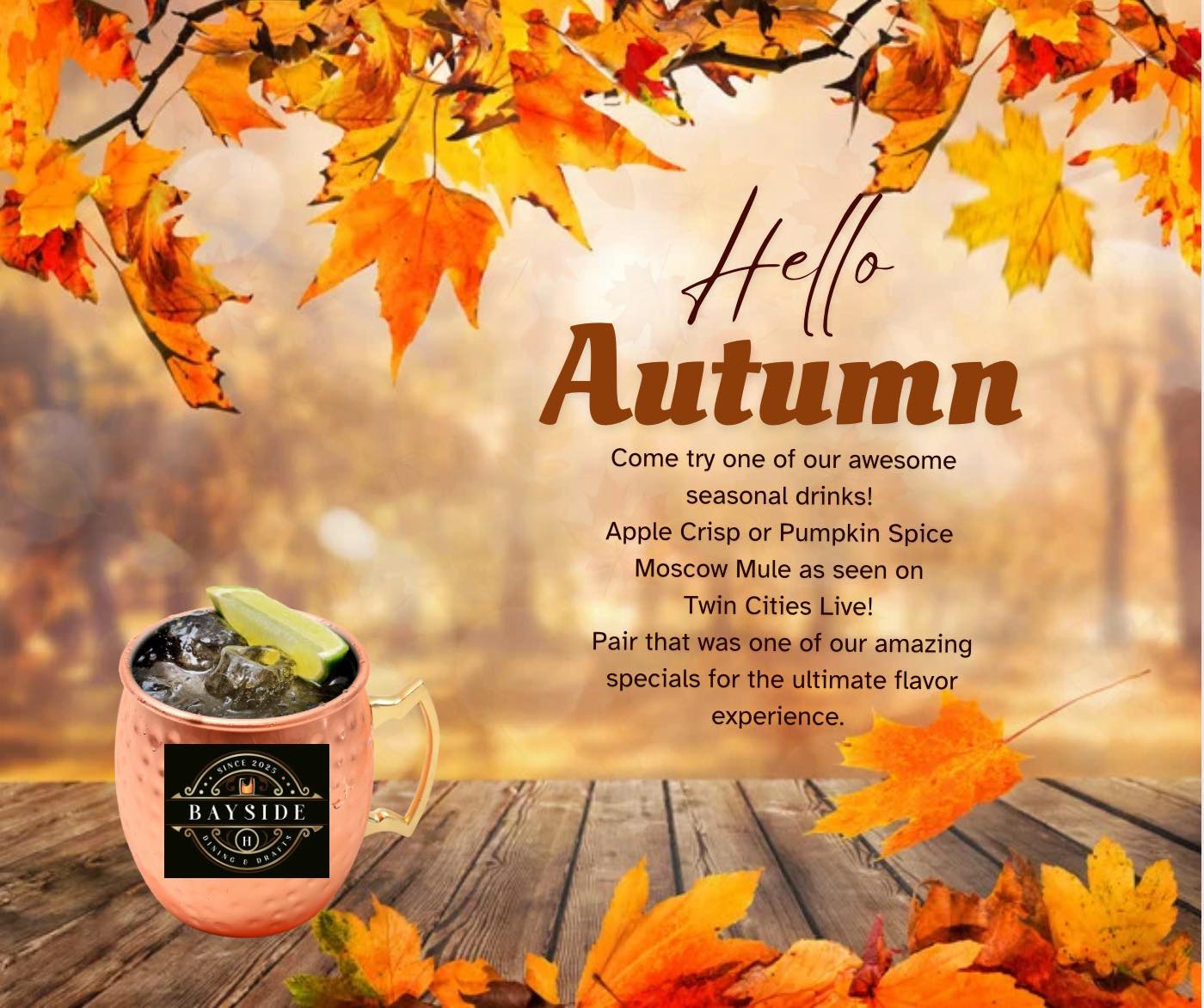 Bayside Saloon & Grill Red Wing