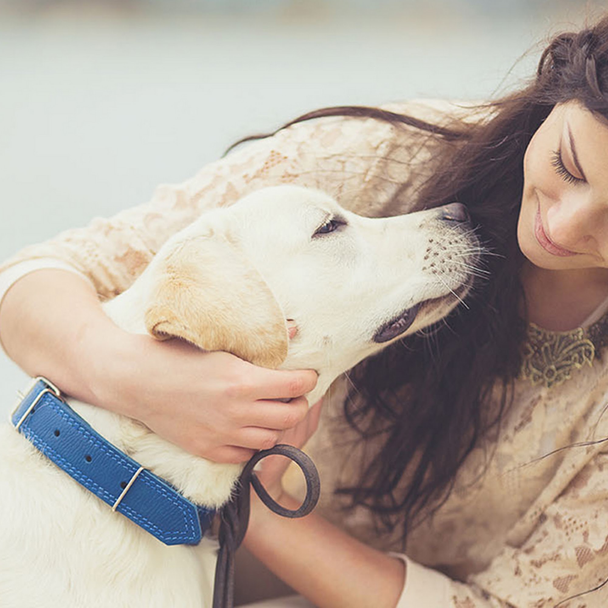 Black Dog Animal Hospital Red Wing