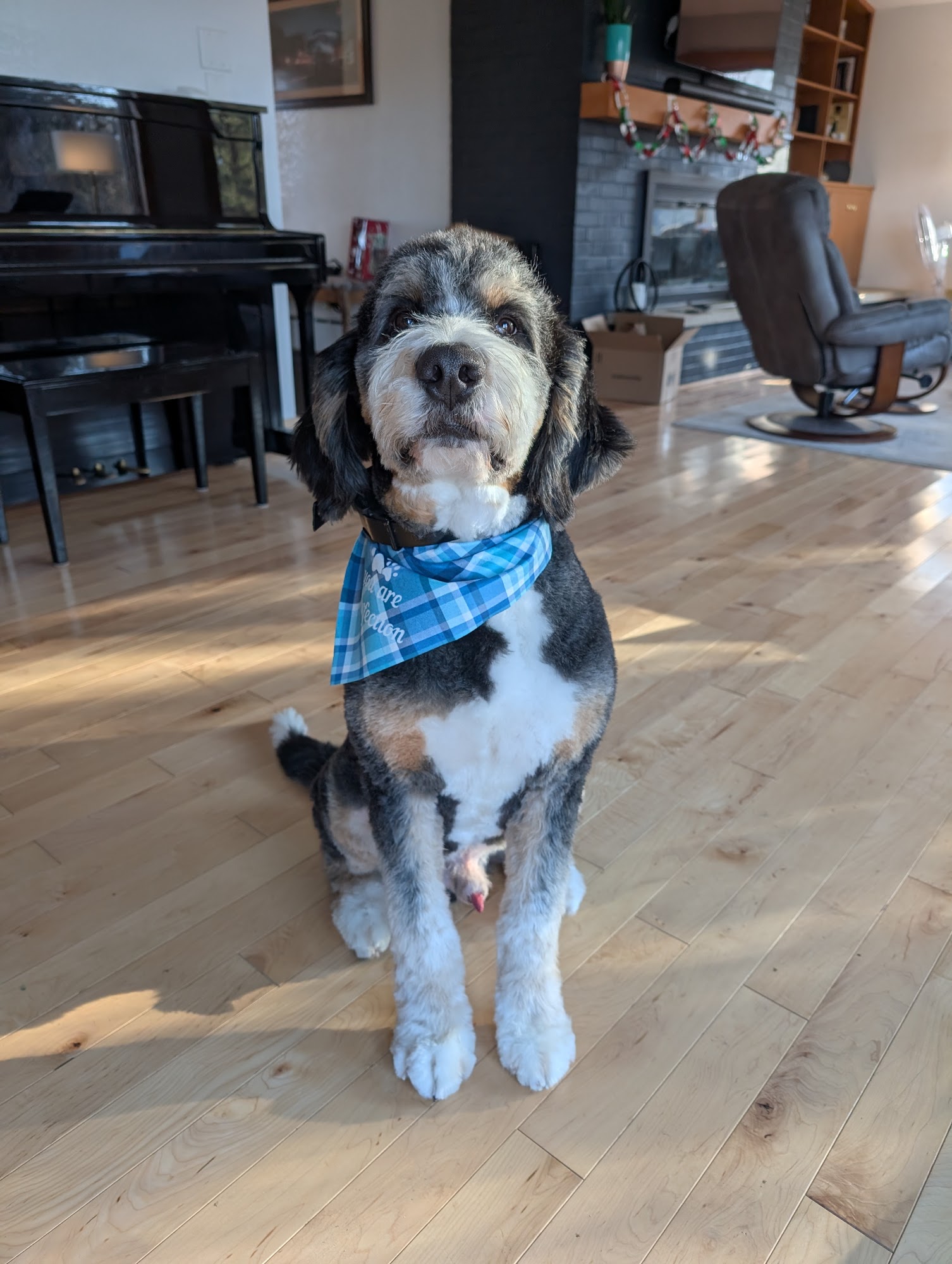 Wuff Da Dog Wash & Salon Red Wing