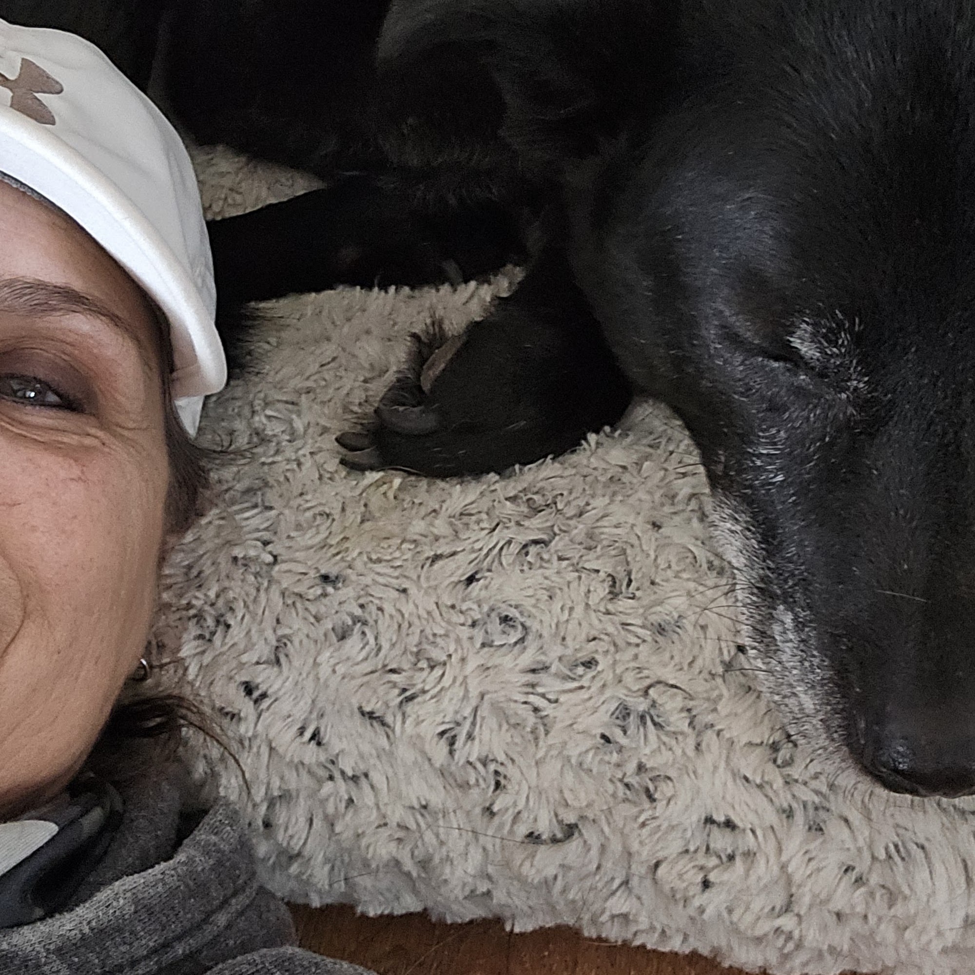 Wells Creek Kennels Red Wing