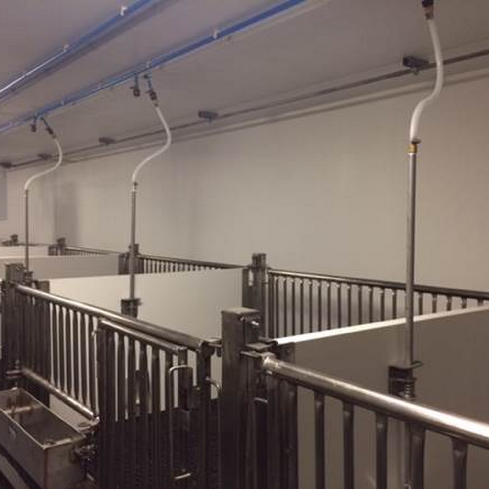 Swine Services Unlimited Inc. Rice