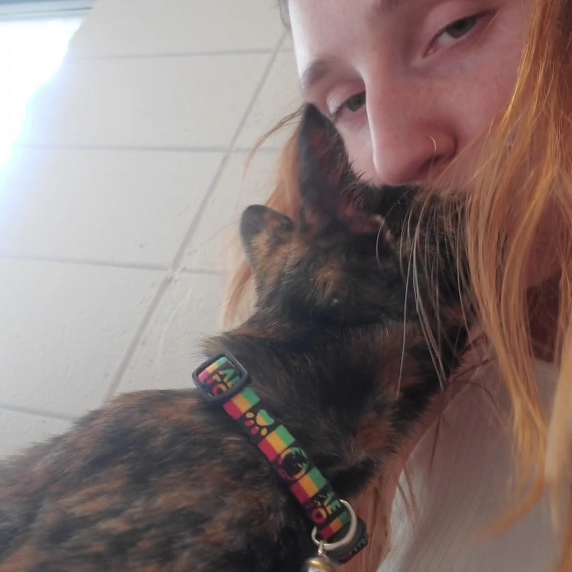 ValueCare Veterinary Clinic Richfield