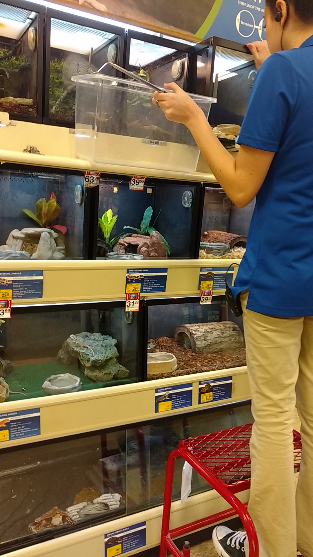 PetSmart Rochester