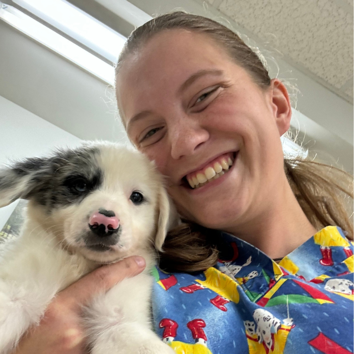 Broadway Veterinary Hospital Rochester