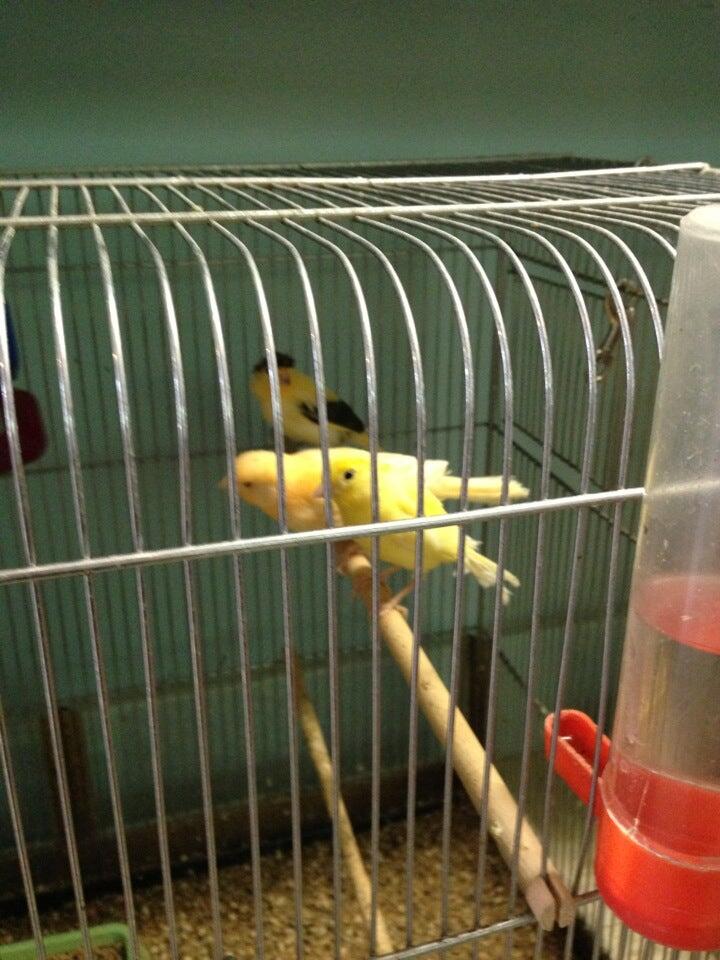 Sonnen's Pet Shop Saint Paul