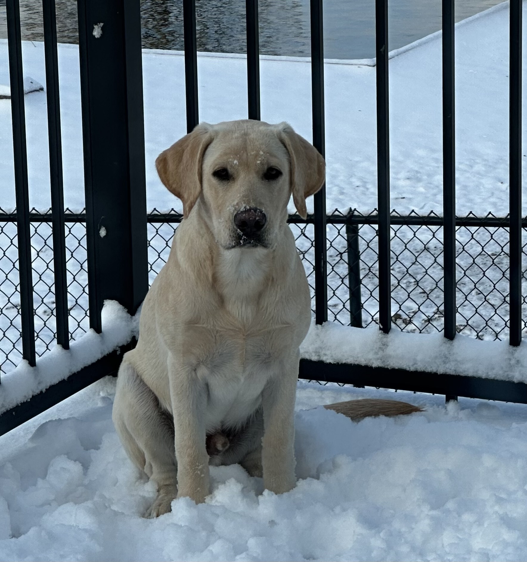 Animal Emergency & Referral Center of Minnesota Saint Paul