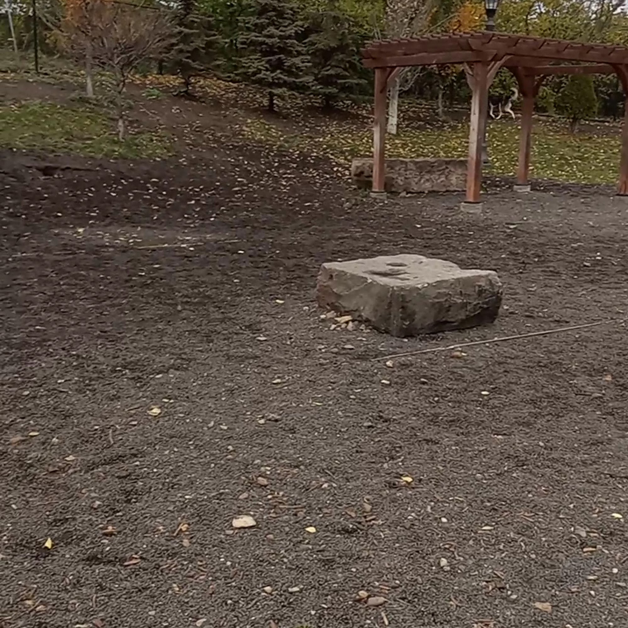 Lowertown Dog Park Saint Paul