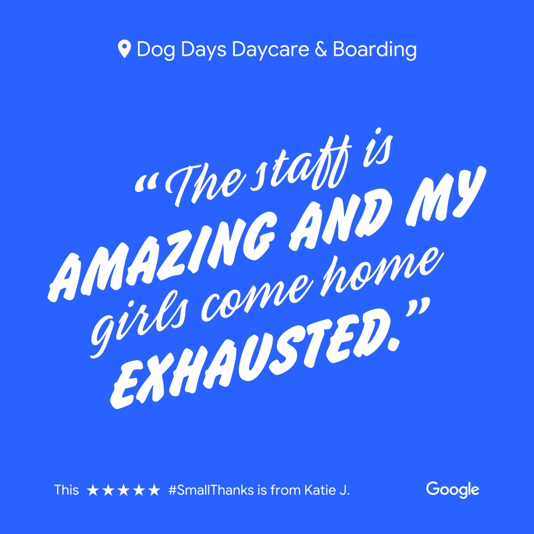Dog Days Daycare & Boarding Saint Paul