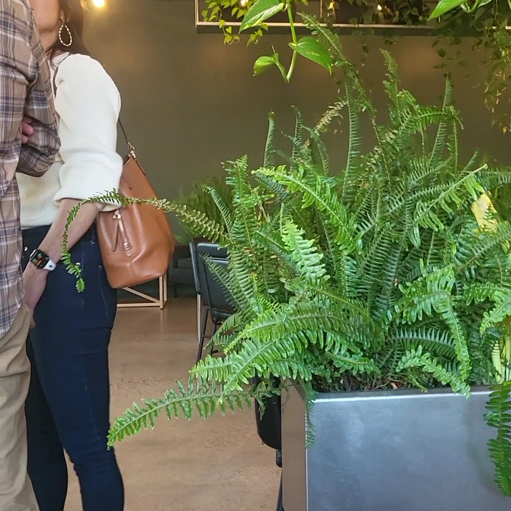 Wandering Leaf Brewing Company Saint Paul