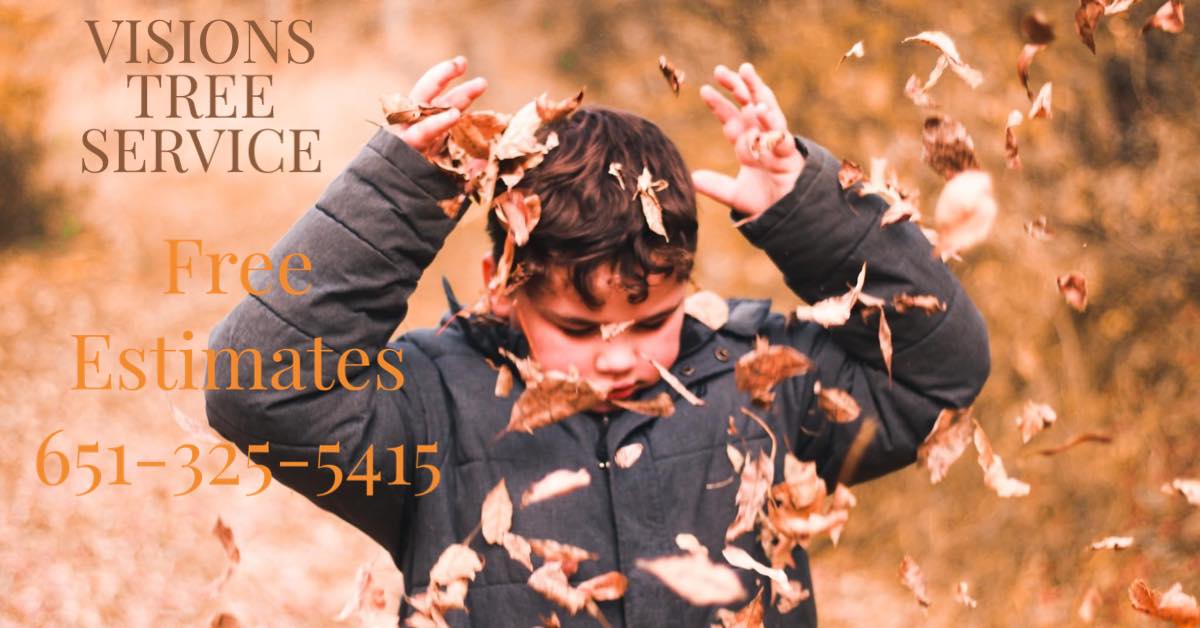 Visions Tree Services