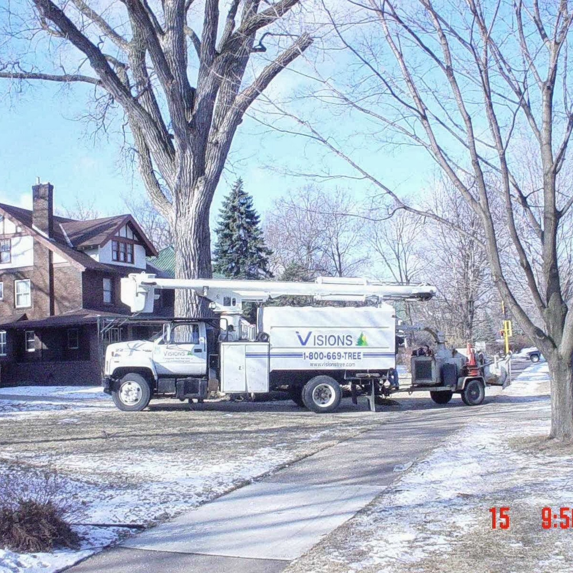 Visions Tree Services