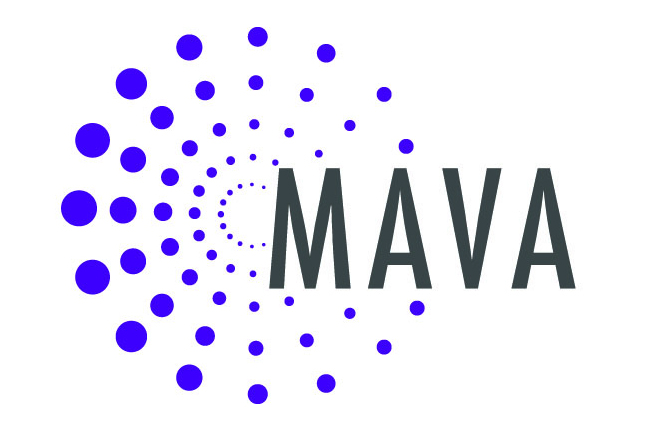 Minnesota Alliance For Volunteer Advancement Saint Paul