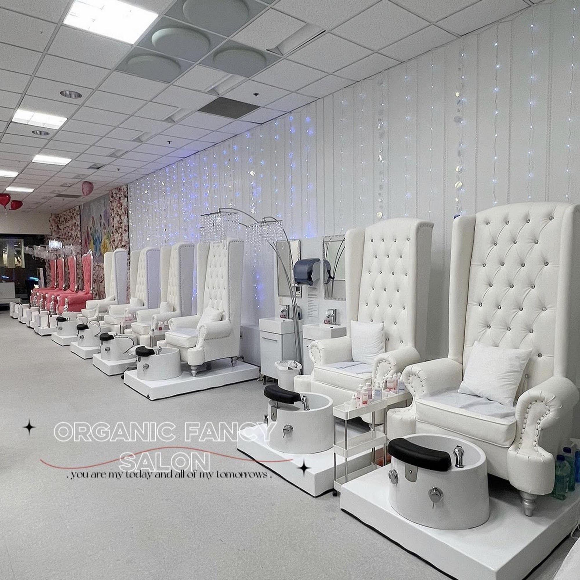 ORGANIC FANCY SALON